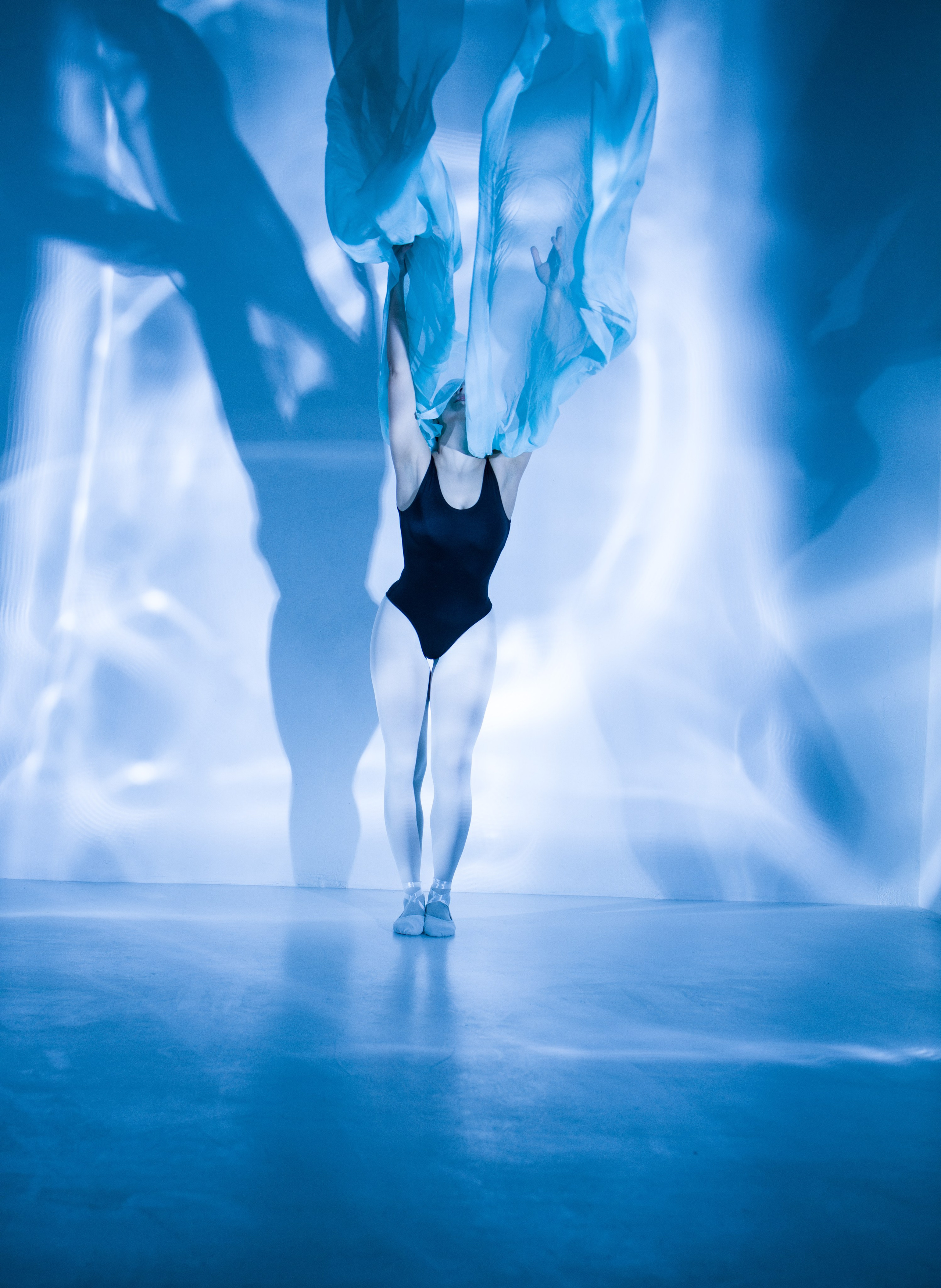 Лилия. Художественная фотография