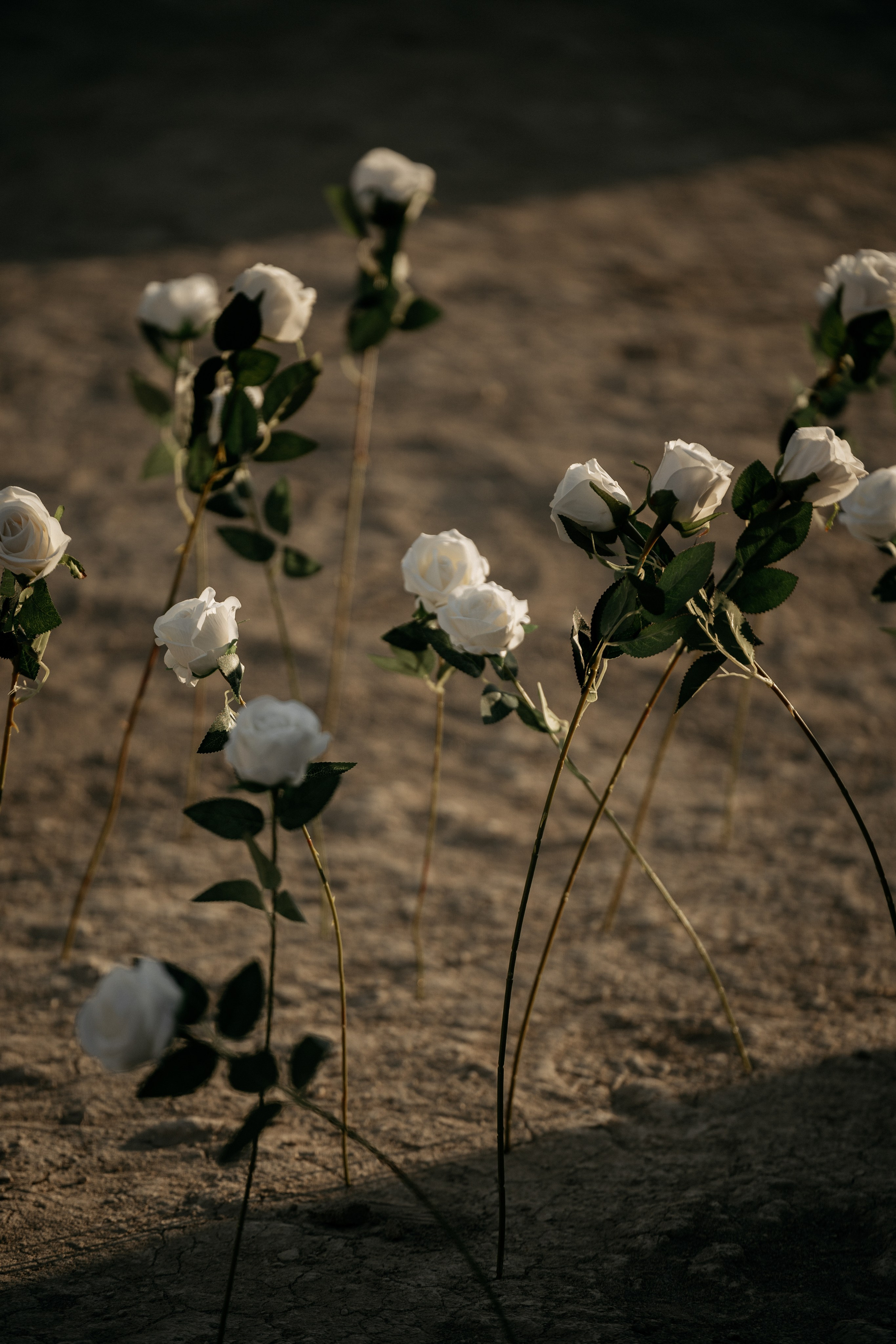 Красивая девушка на фоне скал "Ласточкины гнезда" в Анапе