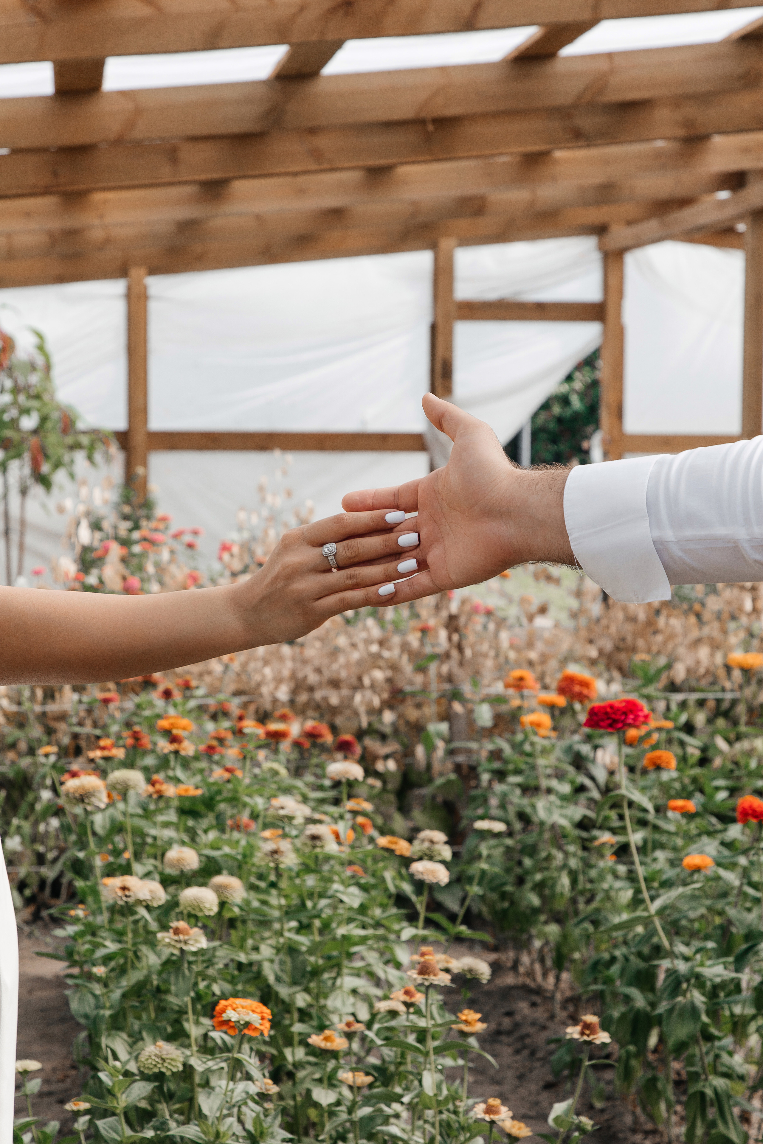Рафаэль и Света. Фотограф Денис Лесковский (Тюмень)