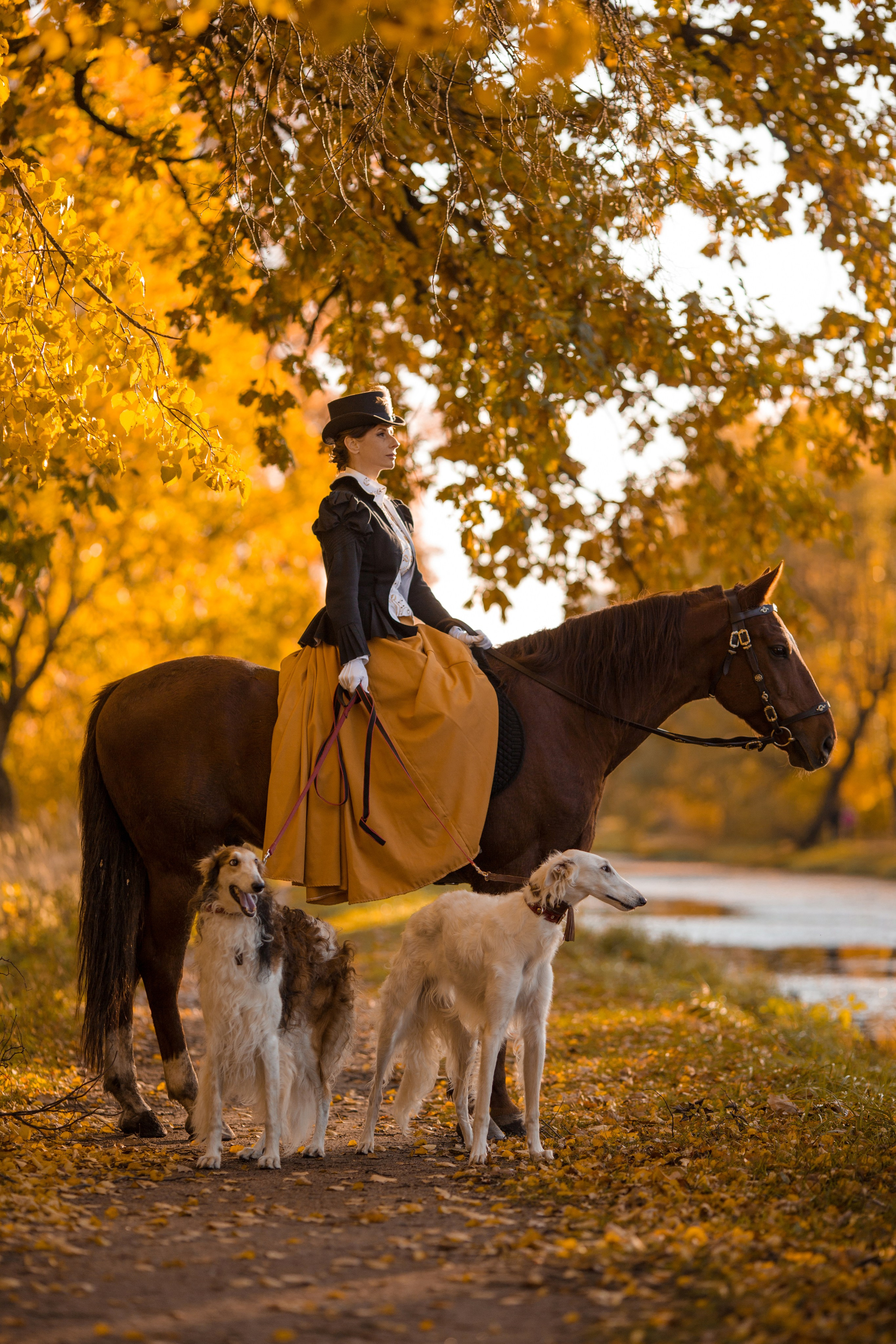Фотосессия в историческом стиле с борзыми