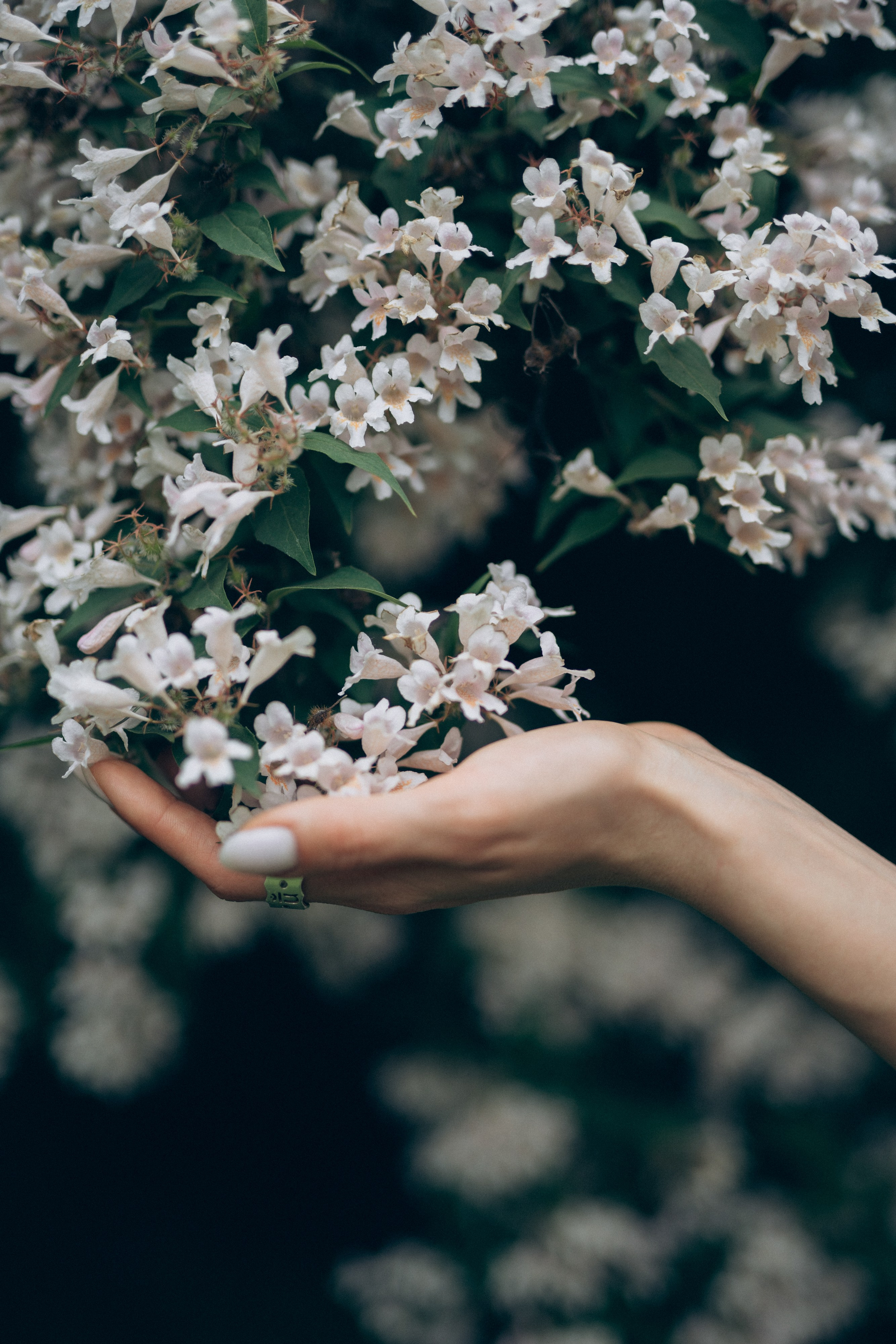 Ника. Фотограф в Алматы Чалова Нафиса