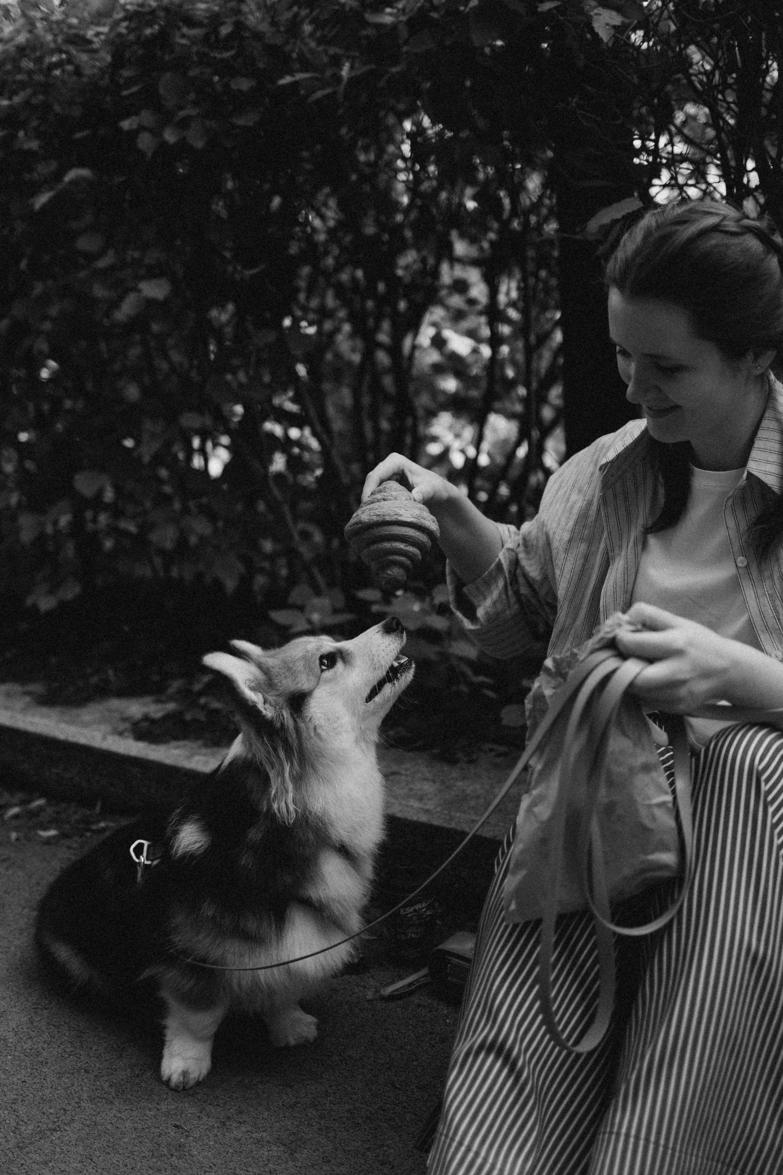 Мишель и Влада. Фотораф — анималист Мария Шистка