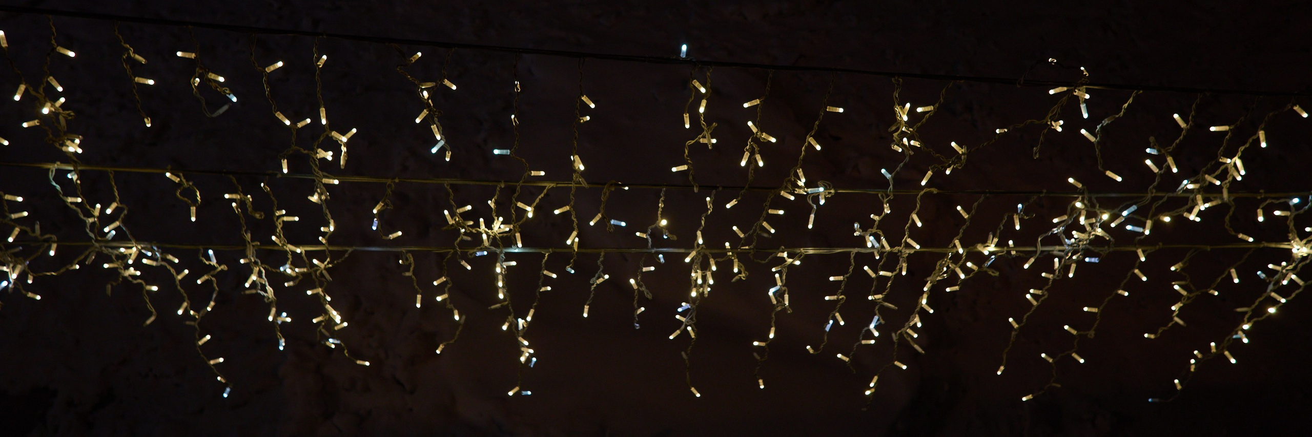 Рождество въ Санктъ-Петербургѣ. Фотографъ Сергѣевъ. Поймать мгновеніе