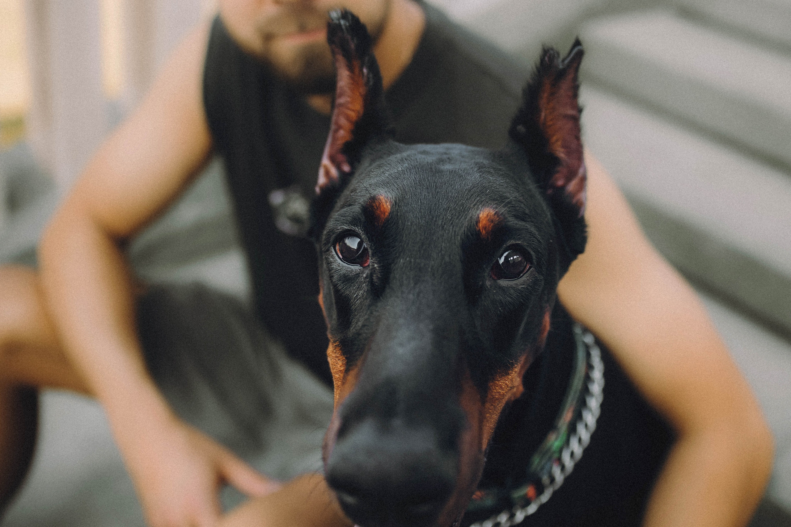 Паша и Хайди