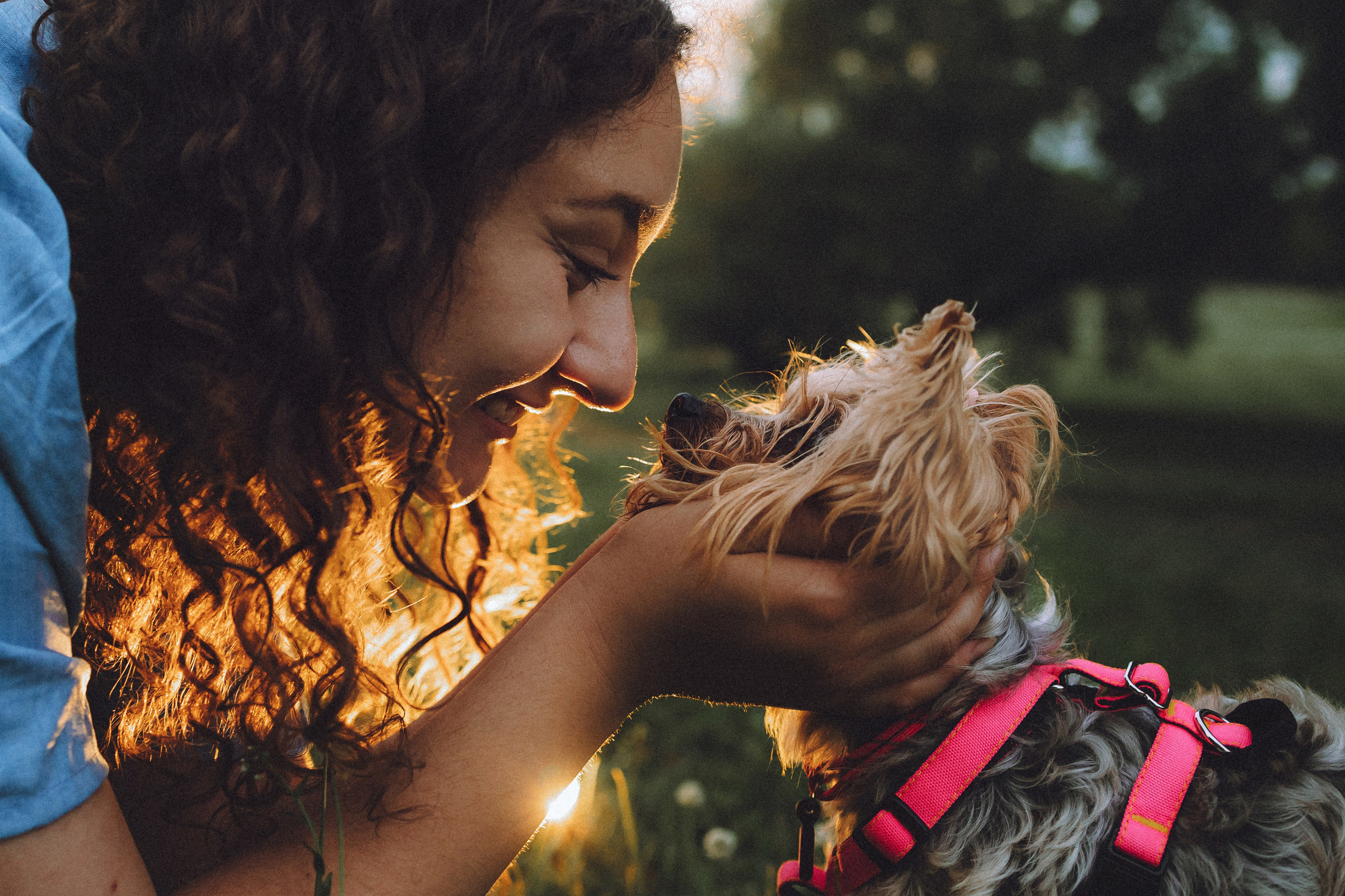 Даша и Дэзи