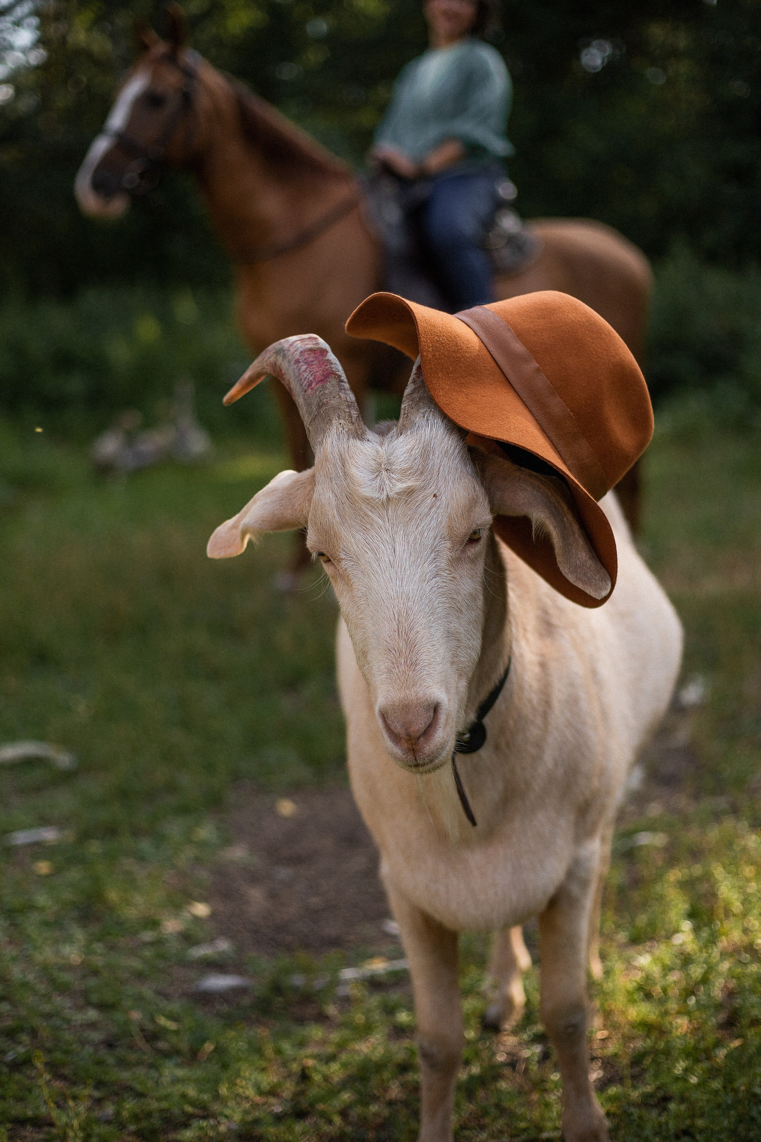 Фотопроект - Конюшня. Семейный и женский фотограф Кемерово Мария Степ