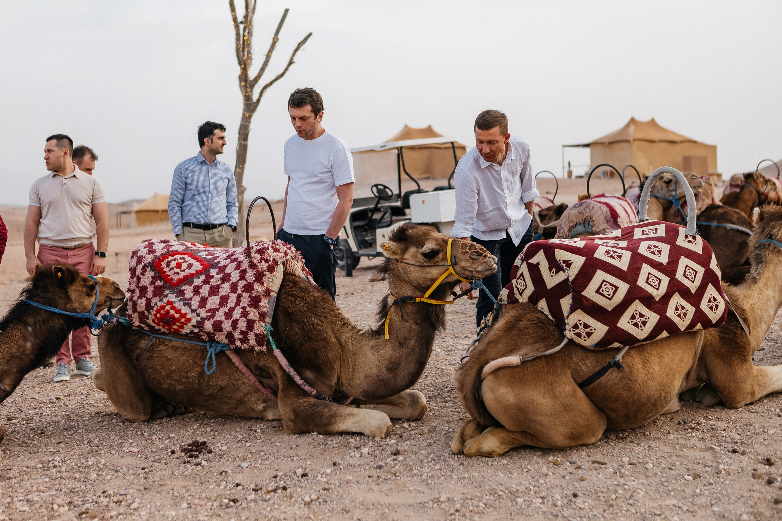 Марокко Альфа Банк. Фотограф в Москве Дмитрий Жарков