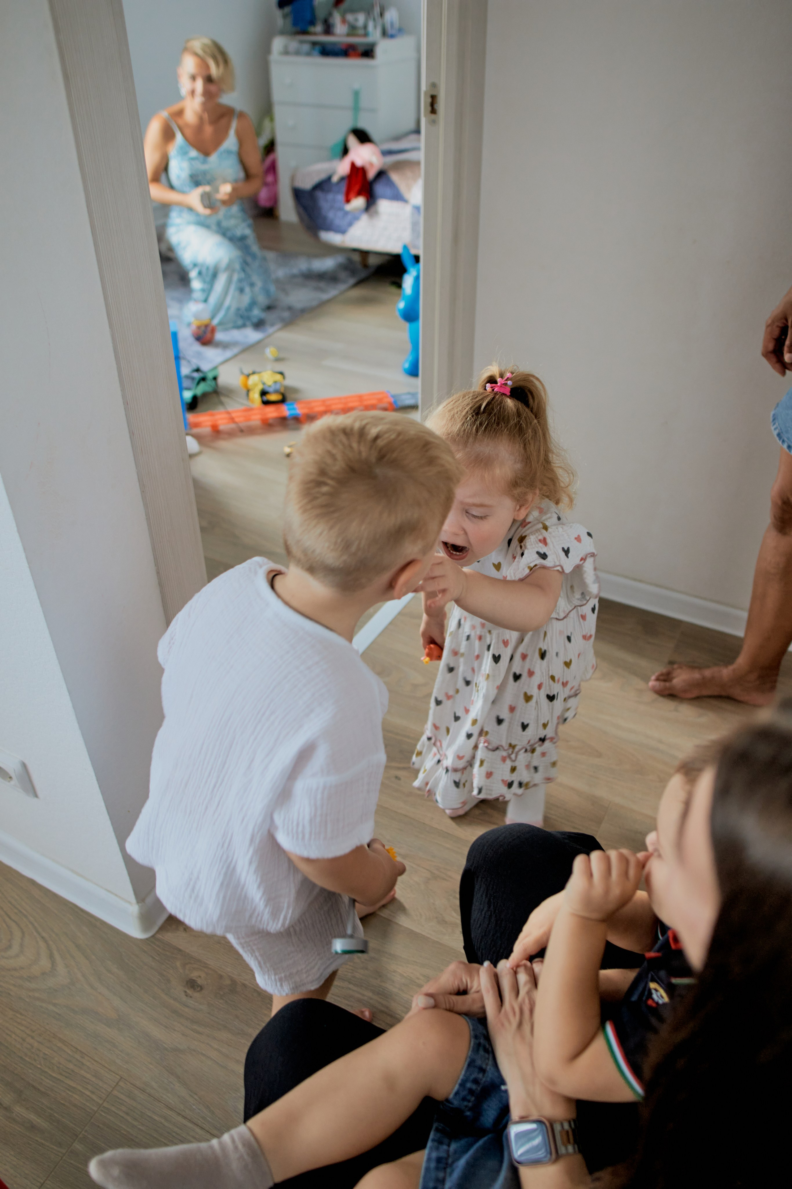 Три кота. Фотограф Москва