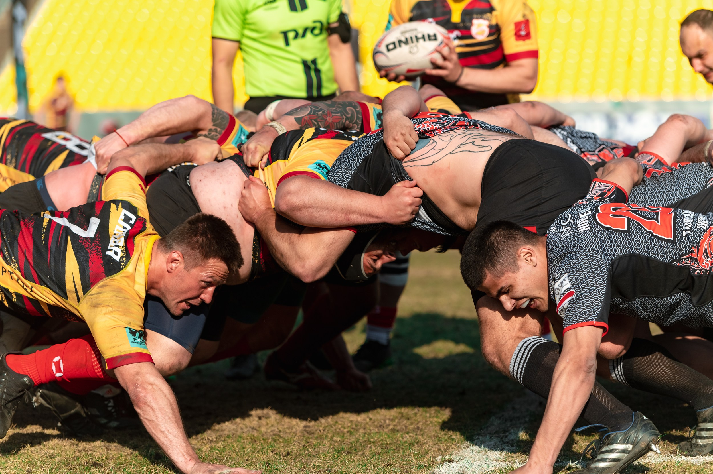 Металлург-Слава. ProfotoNK