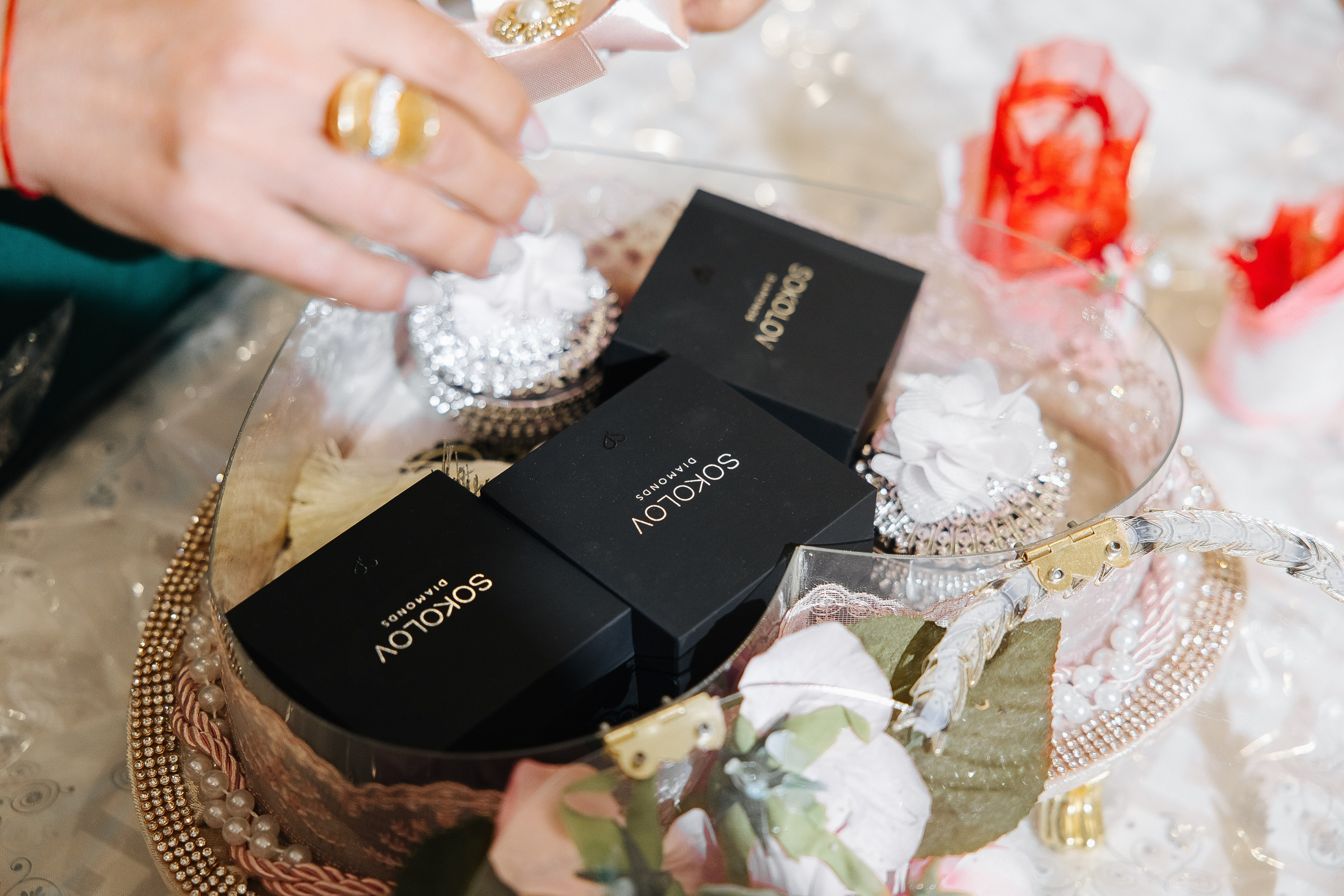 Шах и Ирада. Фотограф в Красноярске Надежда Воскресенская