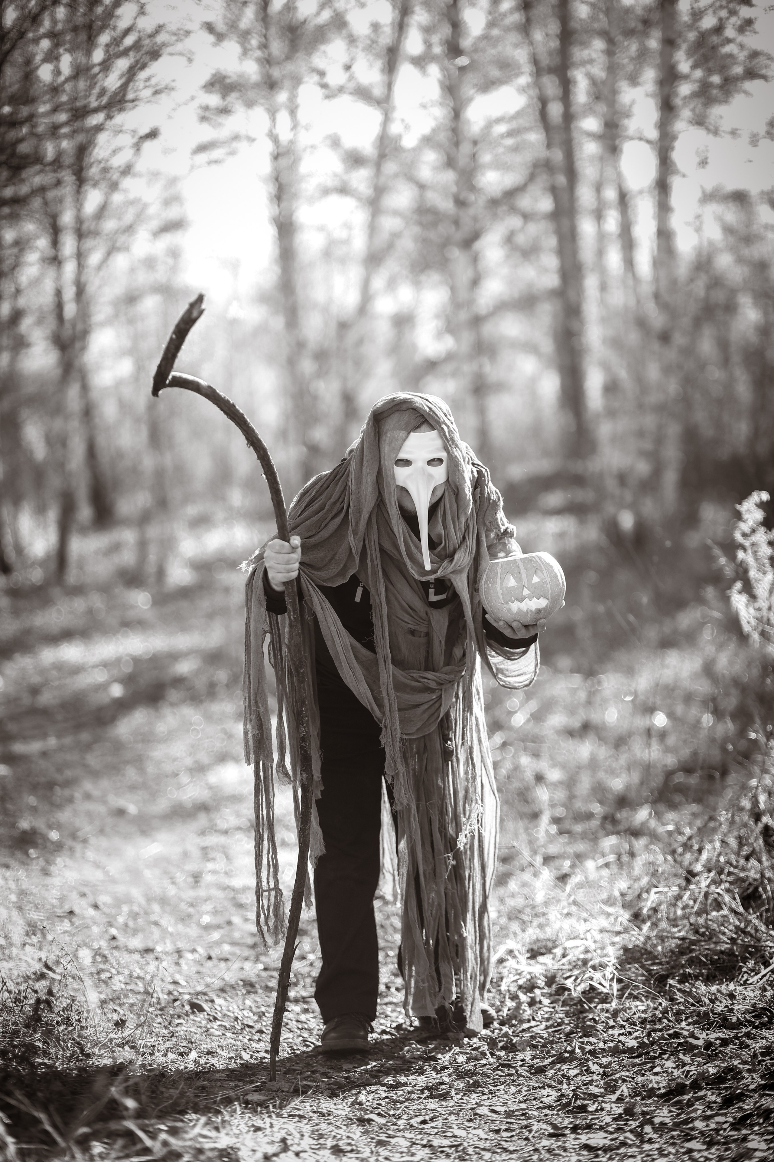 В ожидании Halloween. Art my Pho