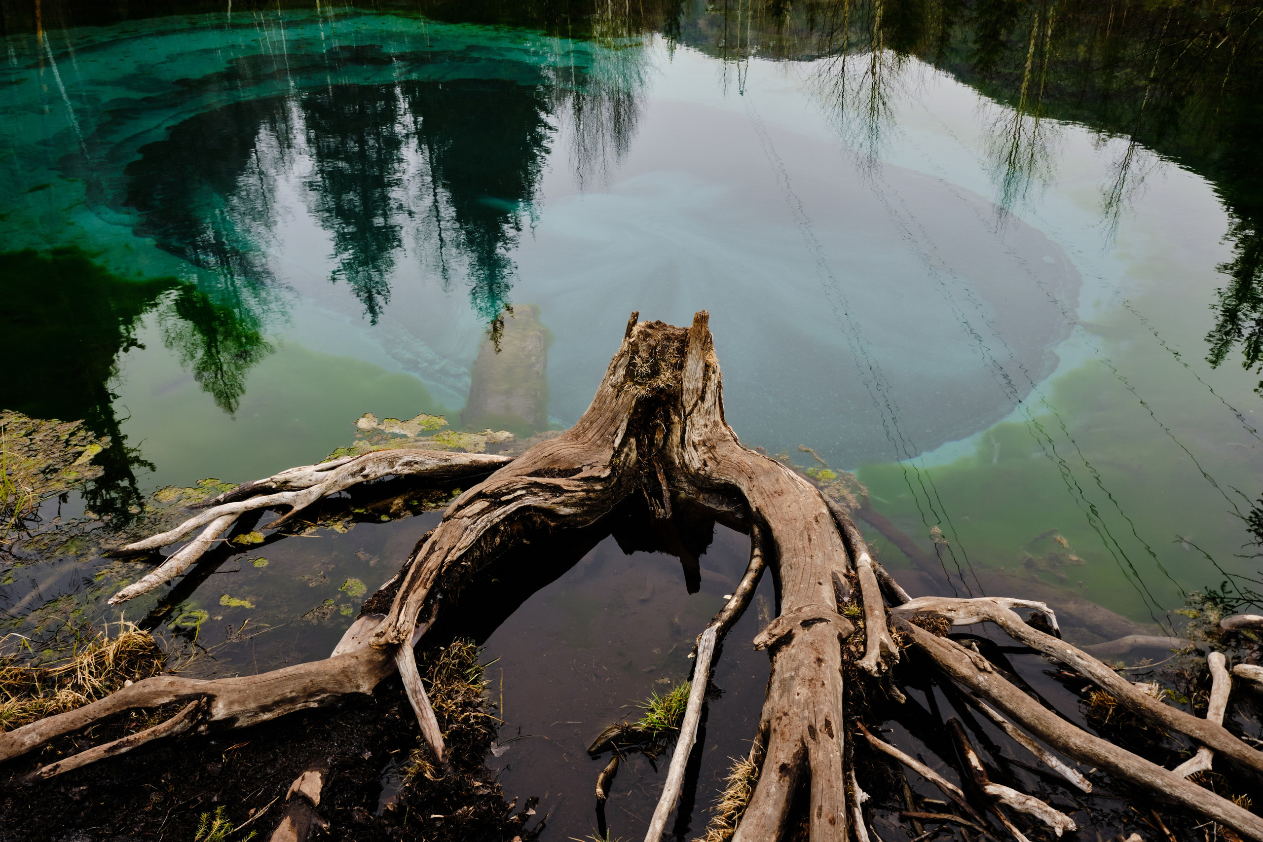 Алтай в ожидании лета. Shaltay Gallery