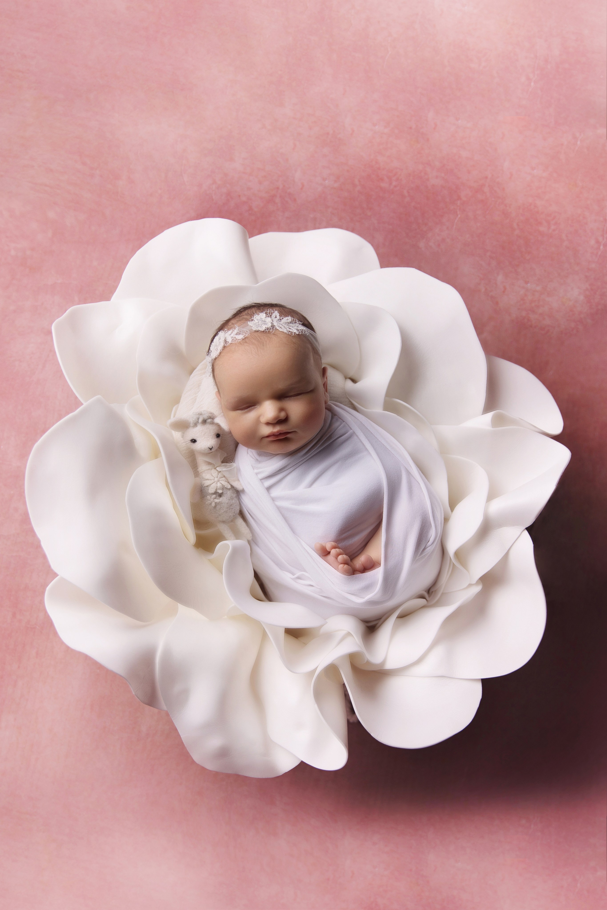 Lovely pink. Фотограф новорожденных, семейный фотограф в Санкт-Петербурге