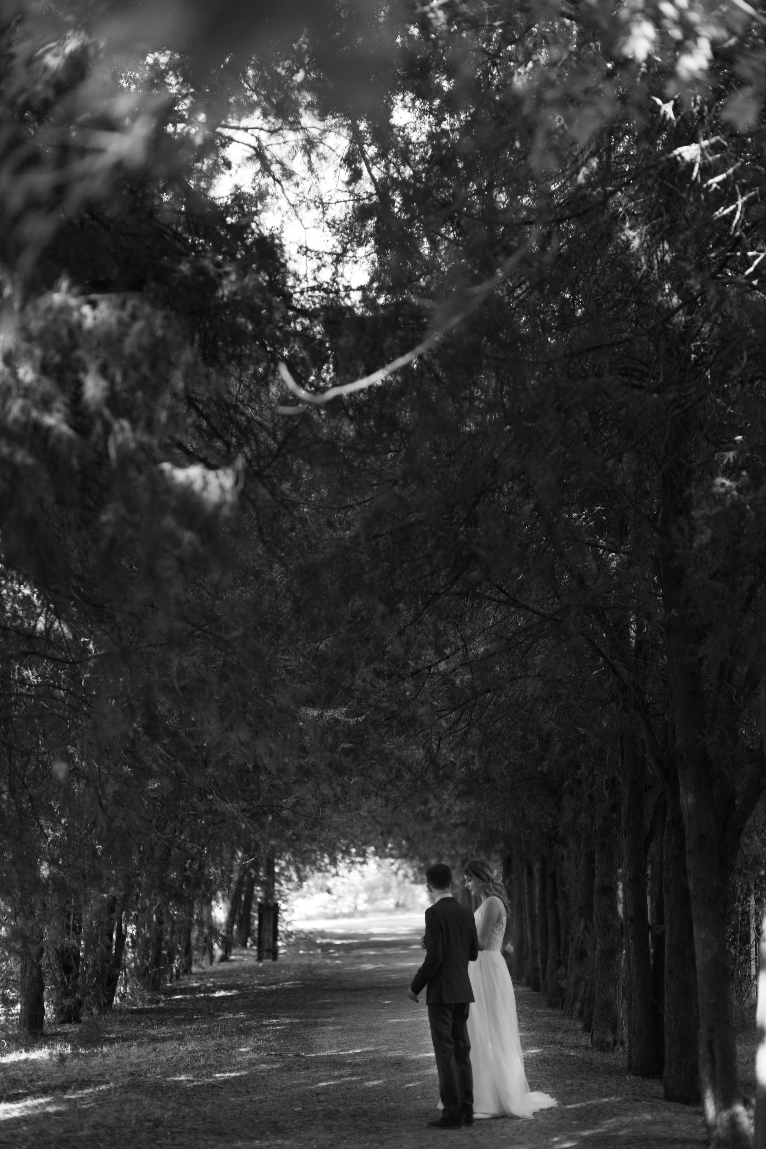 Денис и Надежда. Свадебный фотограф в Симферополе (Крым) Валерия Воловидник