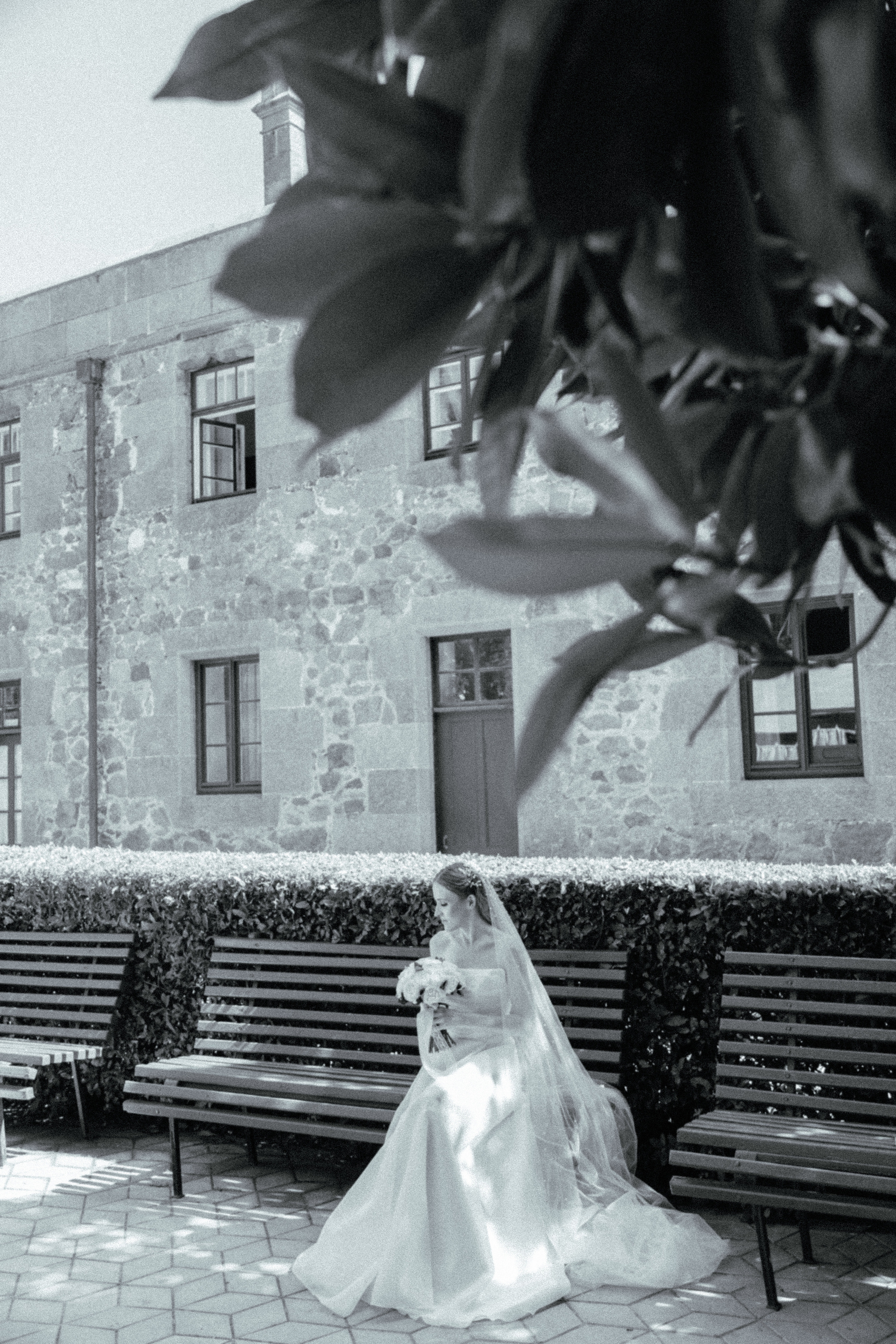 Максим и Анастасия. Свадебный фотограф в Симферополе (Крым) Валерия Воловидник