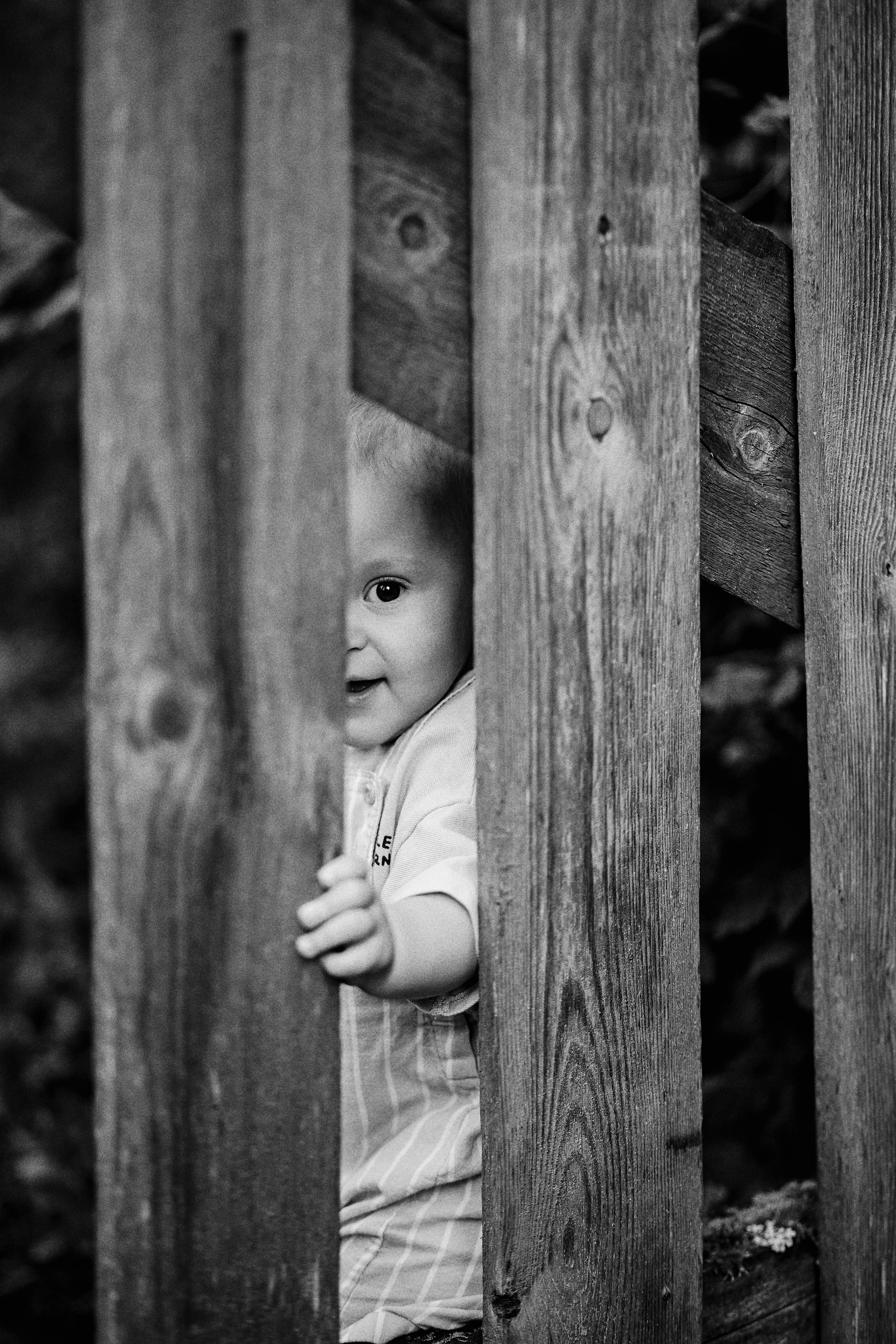 Дима, Маша и Лео. Свадебный фотограф Чайковский