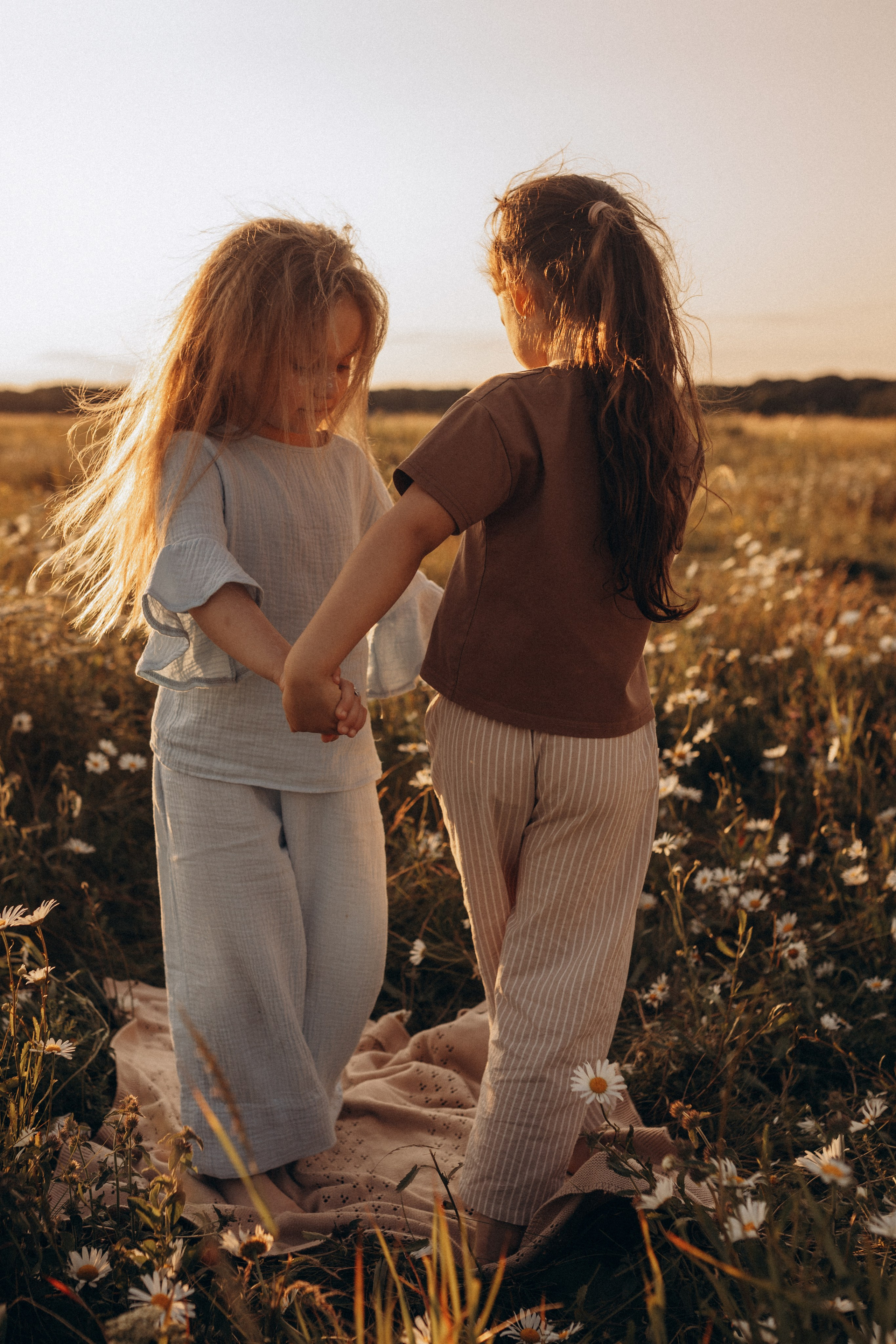 Закат на ромашковом поле. Фотограф в Ставрополе Svetlana Matveeva