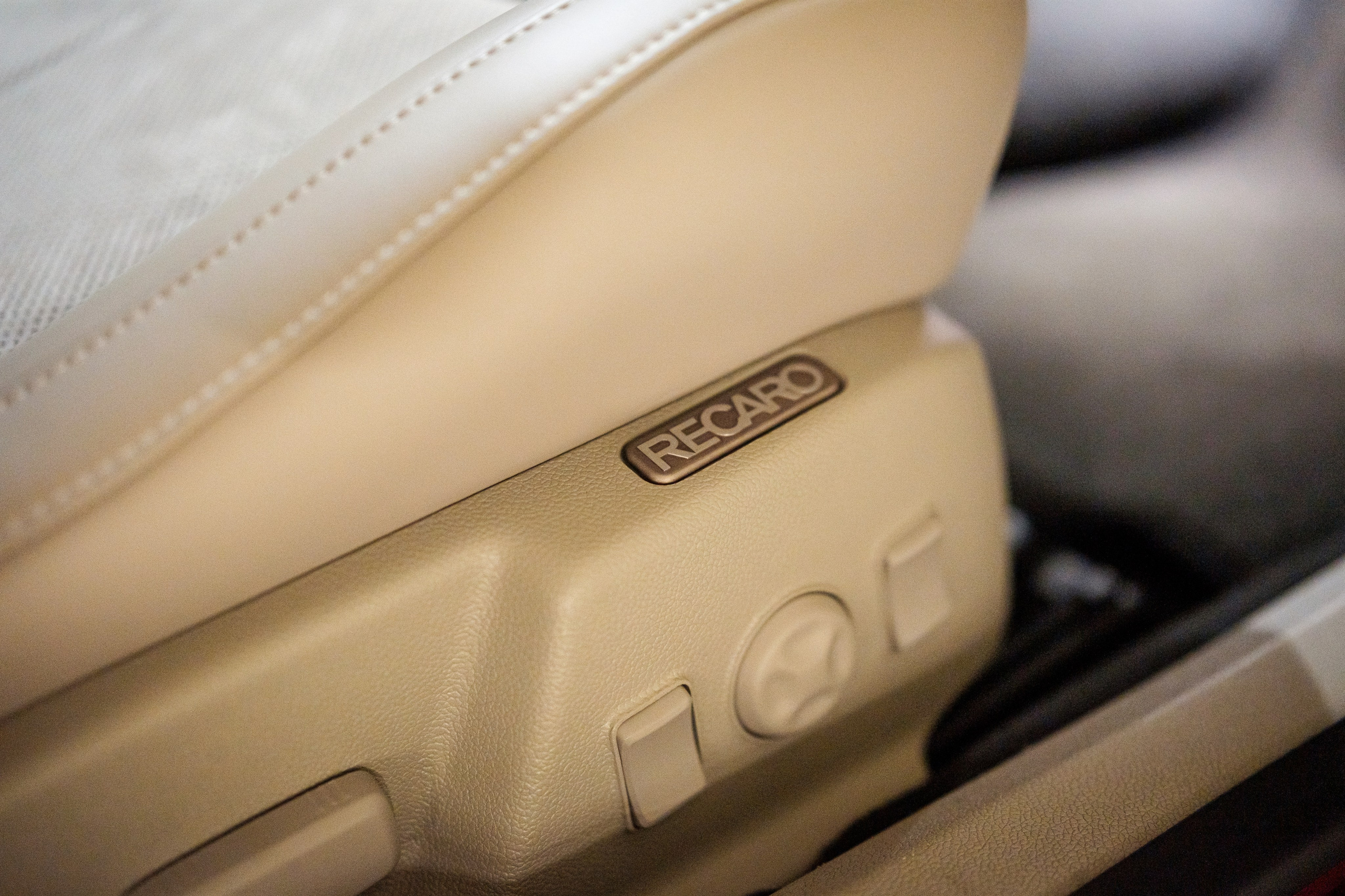 Кэдди. Алексей Никифоров фотограф Москва, Химки