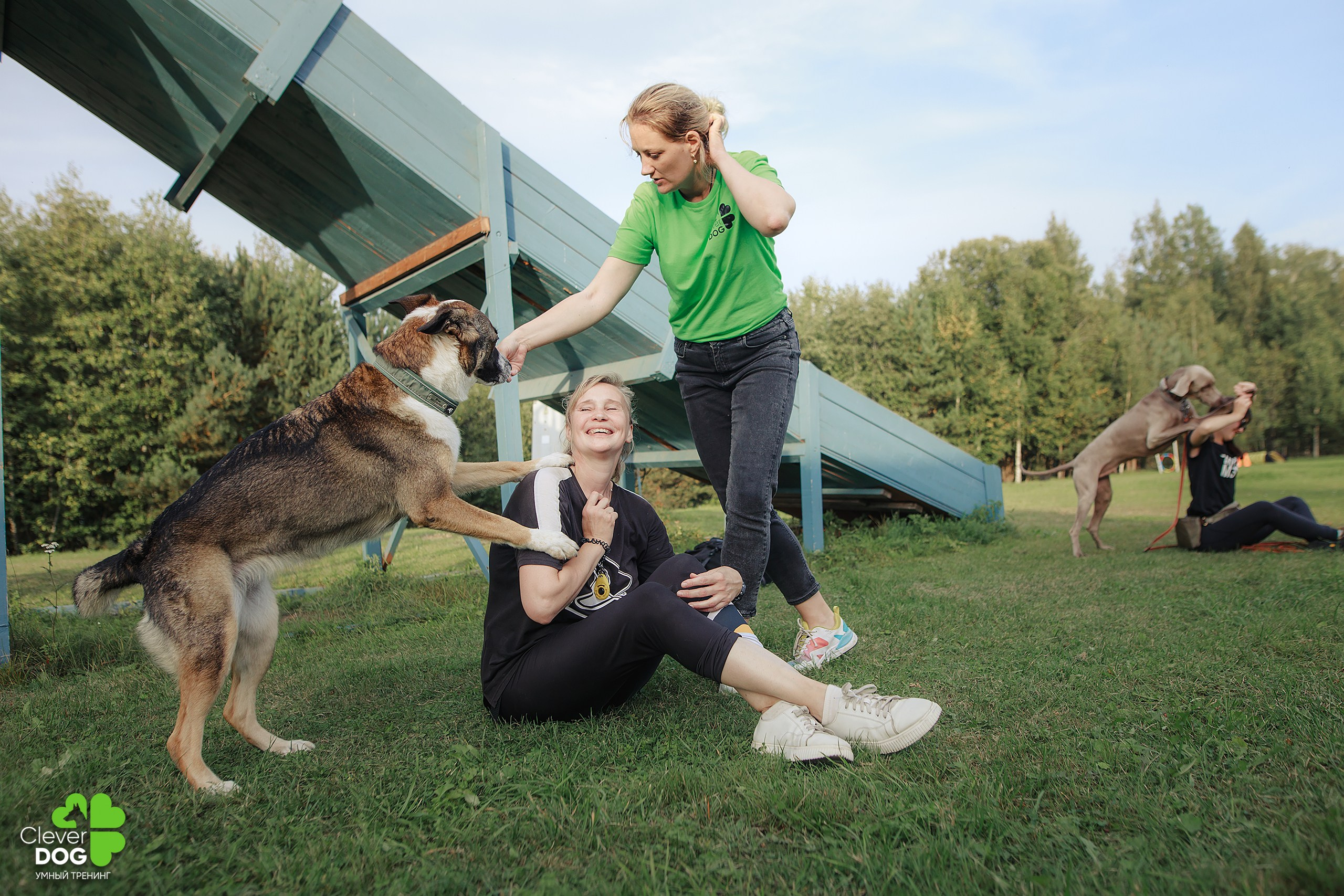 Кинологический лагерь CleverDog, 2024. Фотограф-анималист Mary Mart — Москва, Питер