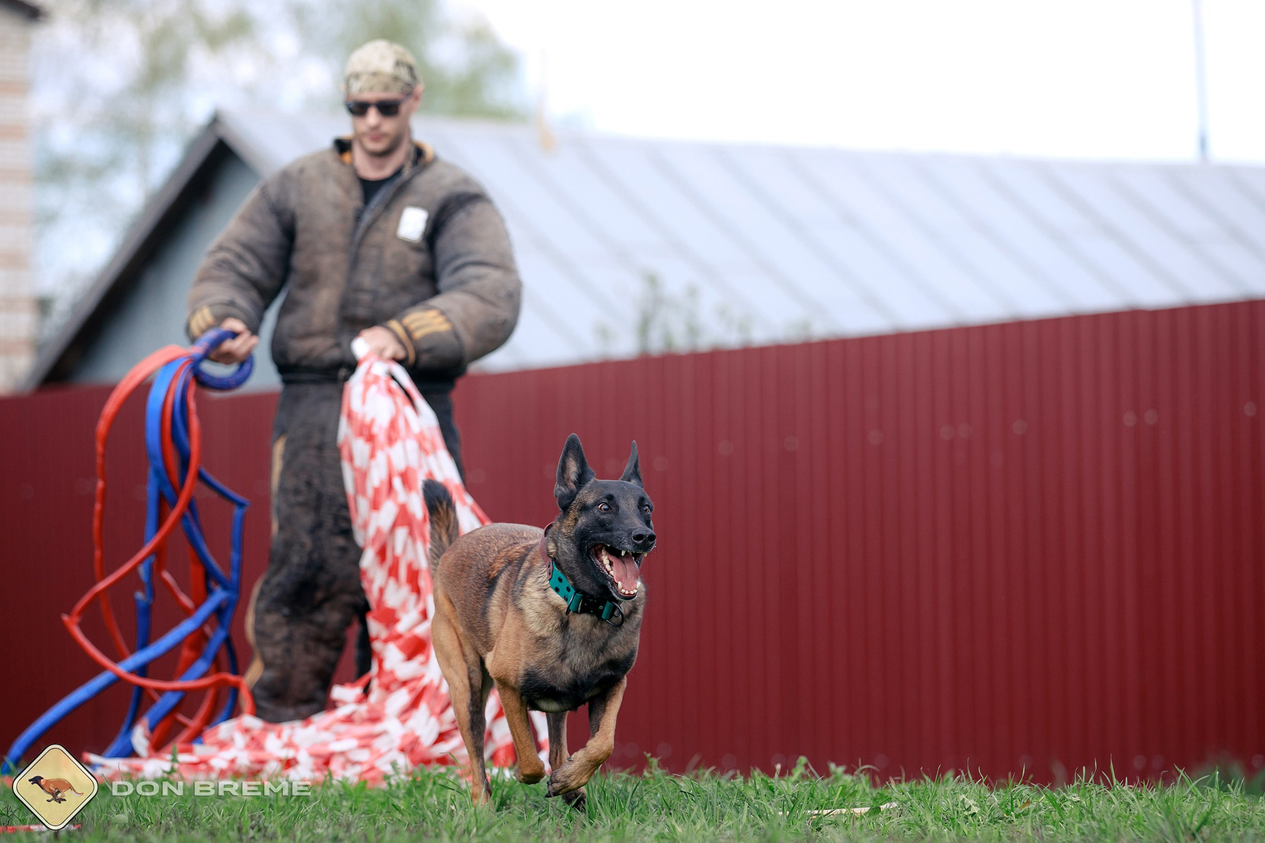 Семинар для фигурантов, день 2. Фотограф-анималист Mary Mart — Москва, Питер