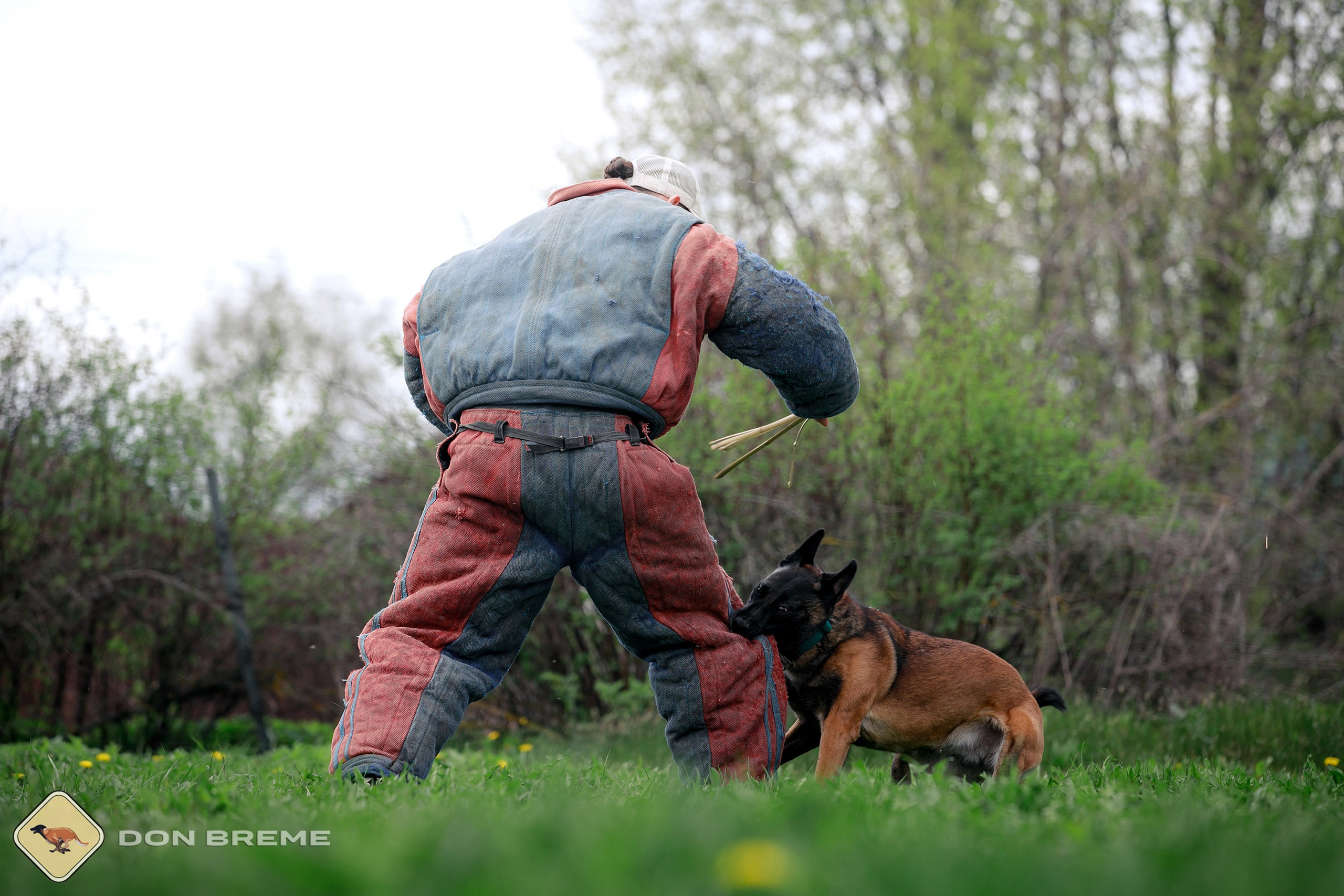Семинар для фигурантов, день 2. Фотограф-анималист Mary Mart — Москва, Питер