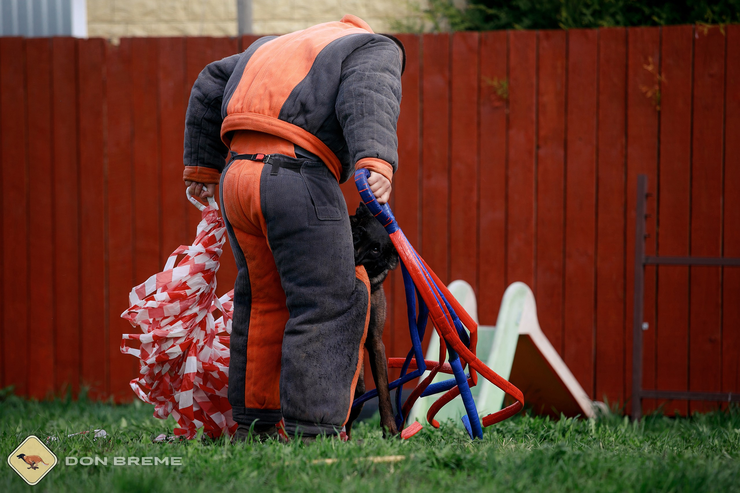 Семинар для фигурантов, день 2. Фотограф-анималист Mary Mart — Москва, Питер