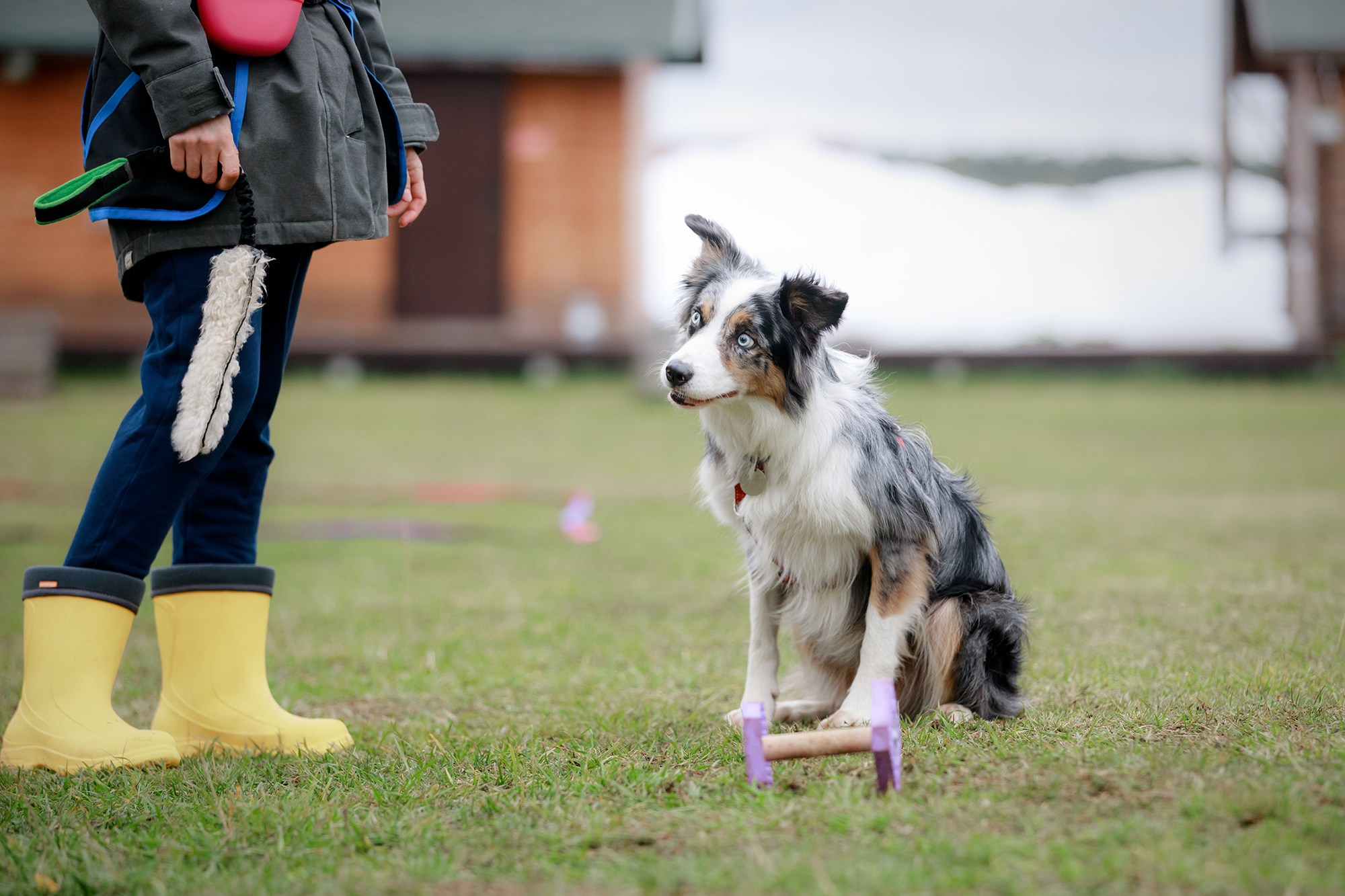 Лагерь по ОБД с Инной Баженовой. Фотограф-анималист Mary Mart — Москва, Питер