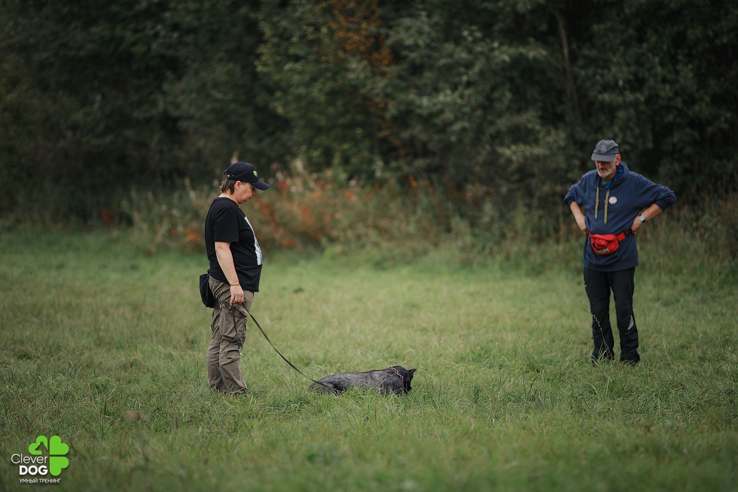 Кинологический лагерь CleverDog, 2024. Фотограф-анималист Mary Mart — Москва, Питер