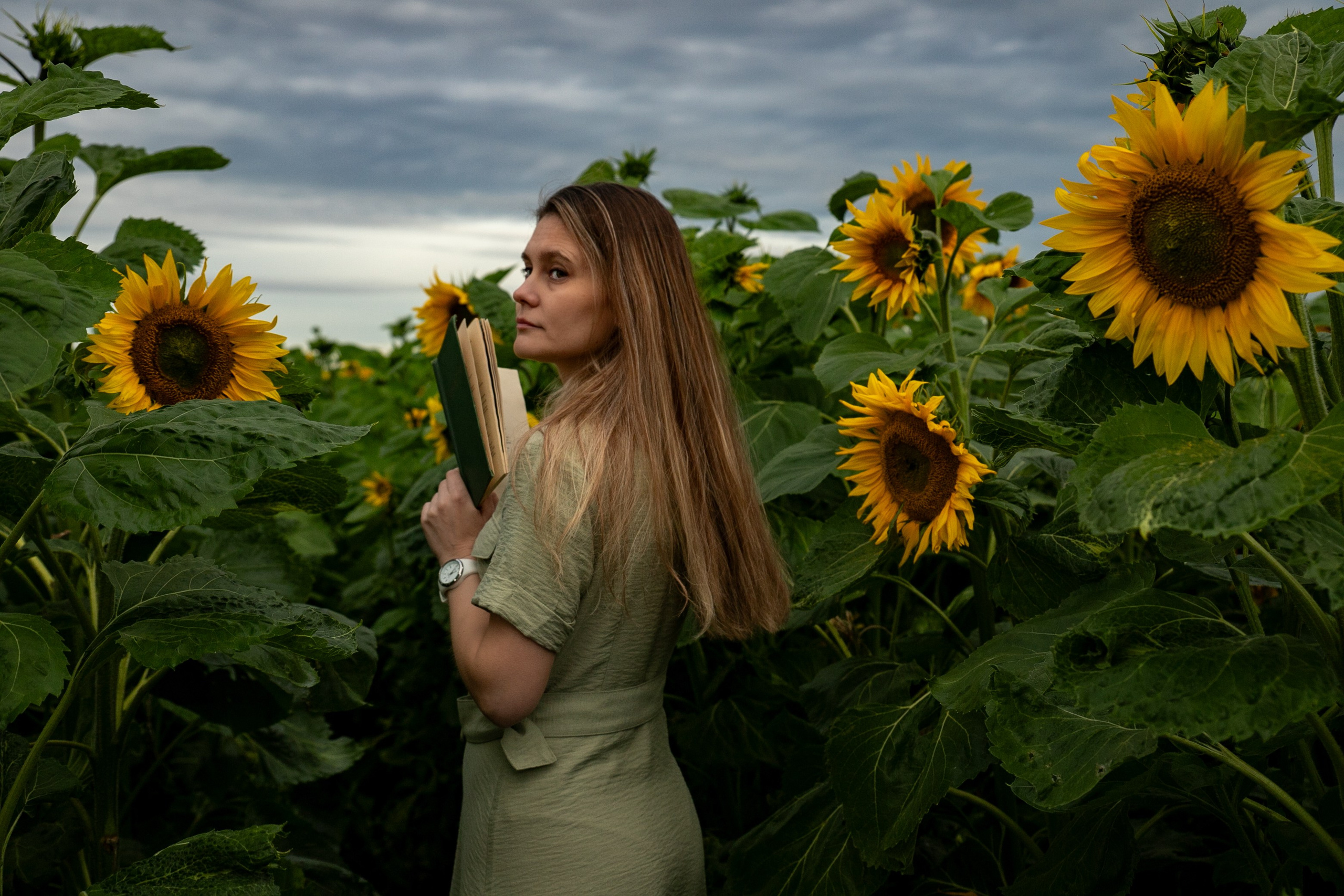 Фотосет в подсолнухах. Нина. Фотограф Лапочкина Татьяна