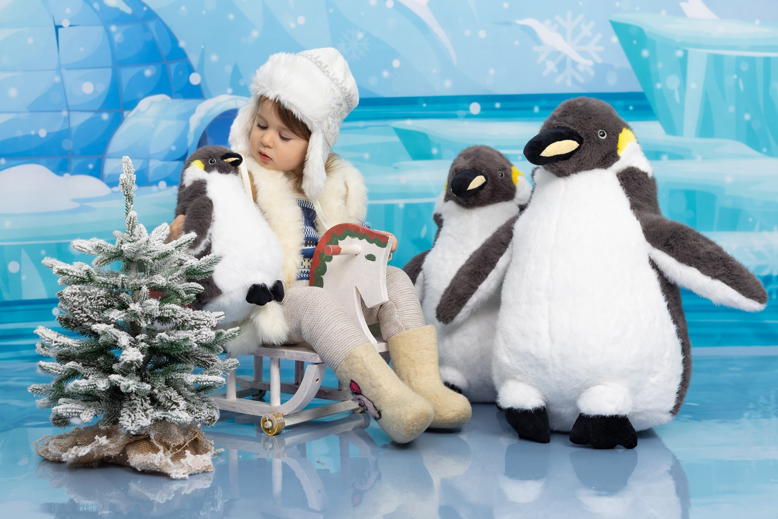 Локация северный полюс. Фотостудия «Олеся». Фотостудия в г. Верхняя Пышма