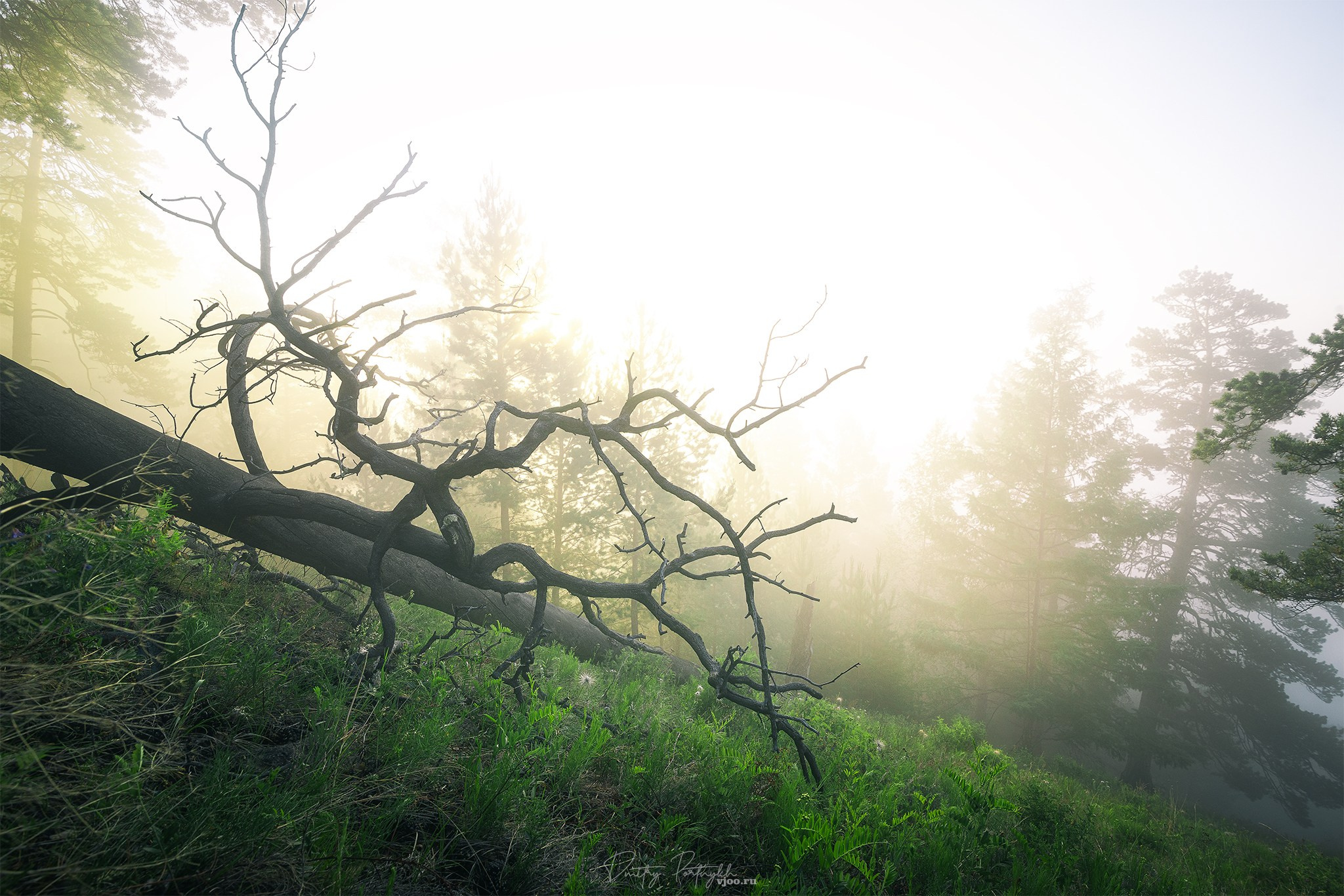 Пейзажный фотограф | Чита. Фотограф Дмитрий Портных | Чита