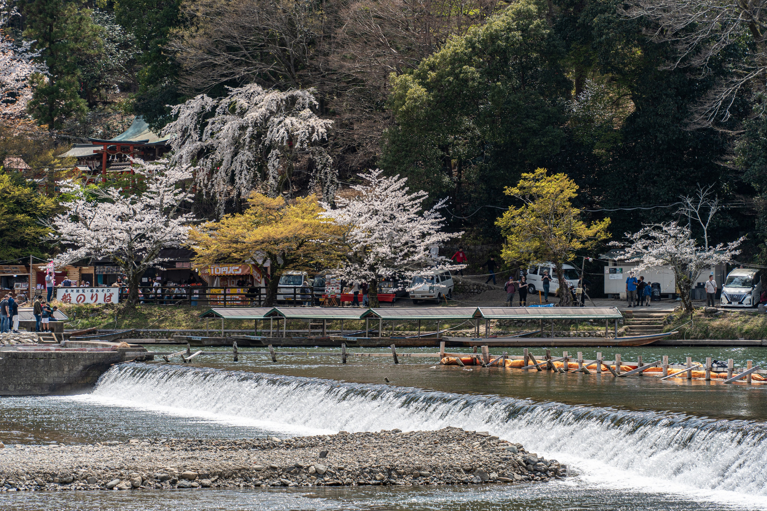 Япония, сакура. Творческие сьемки