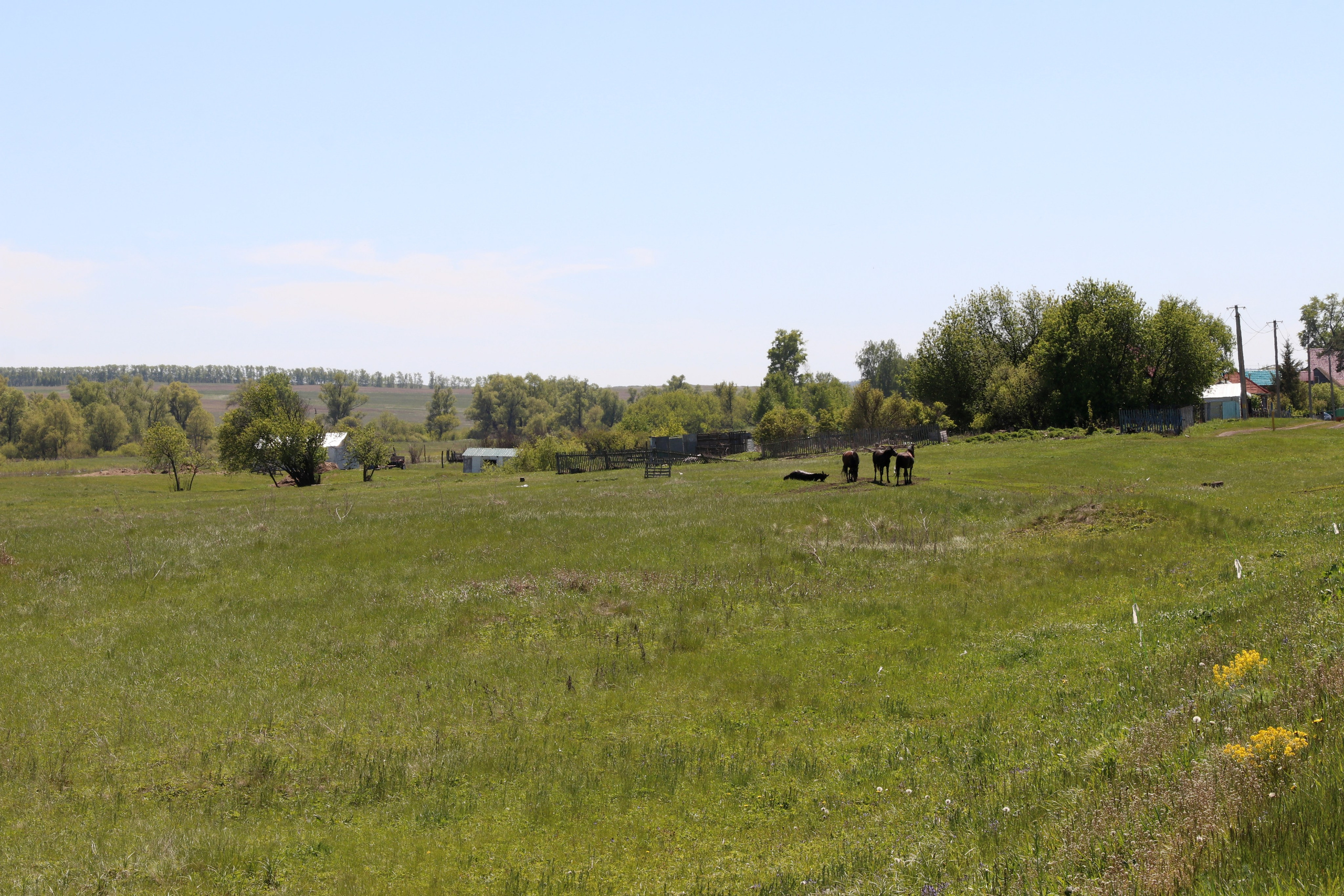 Велопоход Уфа — Мелеуз. Май 2024. Путешественник-фотограф из Санкт-Петербурга Татьяна Свистулина