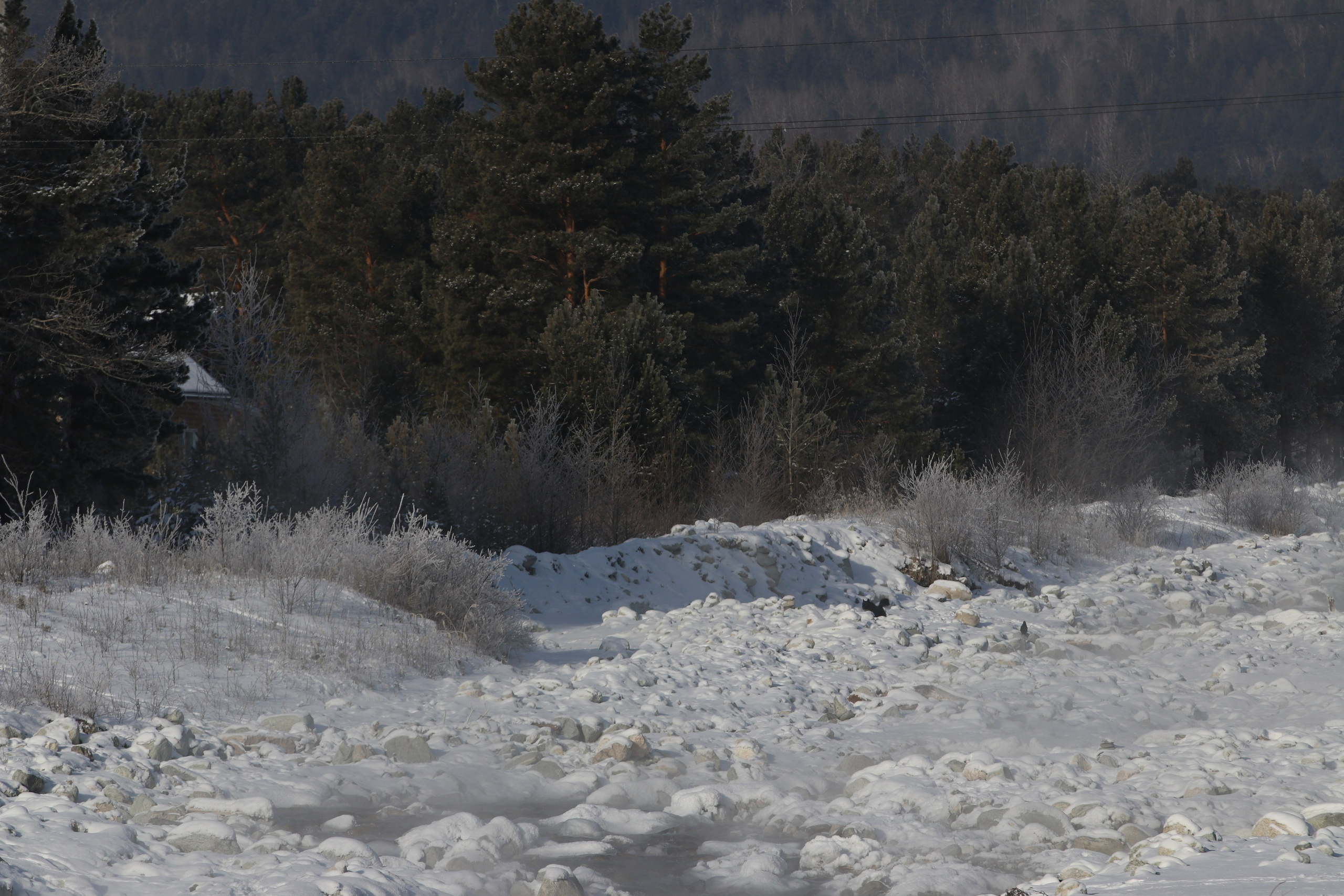 Аршан. Январь 2024. Путешественник-фотограф из Санкт-Петербурга Татьяна Свистулина
