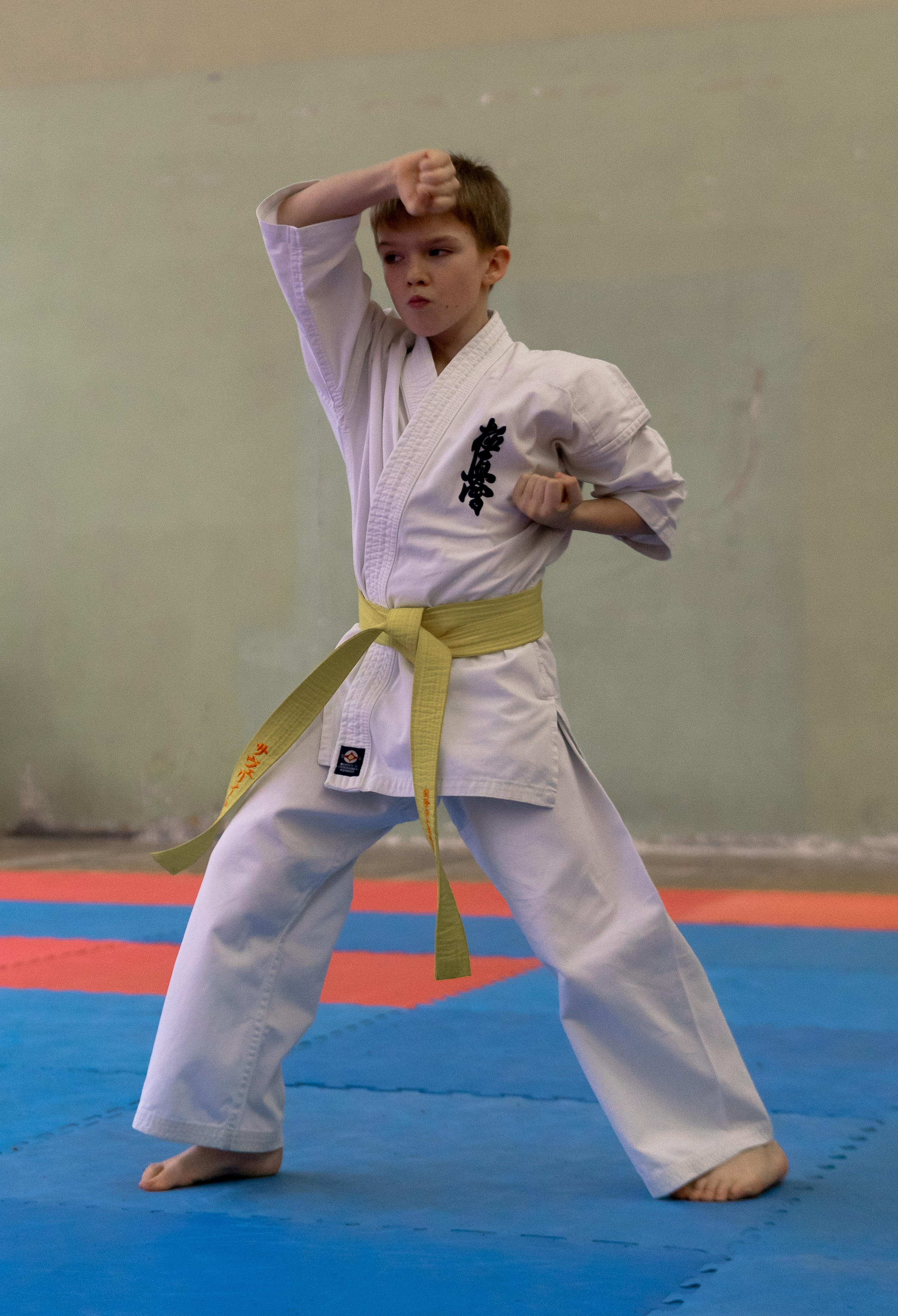 Красногвардейский рубеж Санкт-Петербург, соревнования по каратэ, соревнования по каратэ в Санкт-Петербурге, соревнования по каратэ Красногвардейский рубеж в Санкт-Петербурге, каратэ, соревнования 