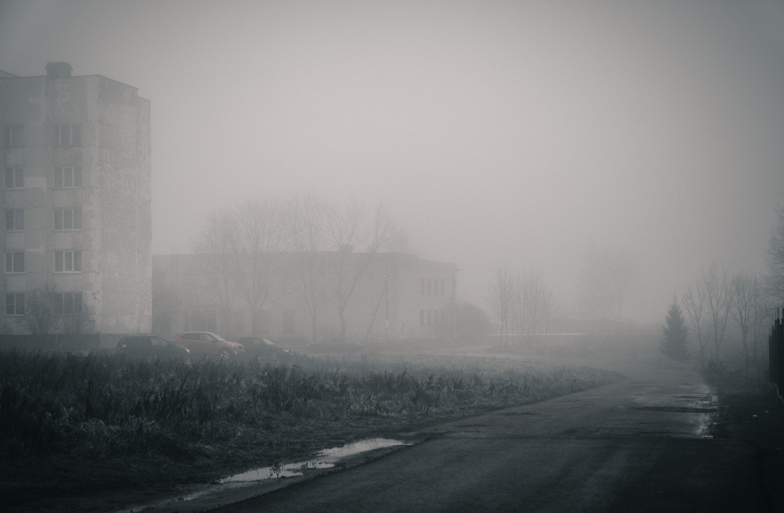уманный двор с панельными домами и автомобилями в дымке, типичный пейзаж спального района Петербурга зимой, urban street фото, Евгений Мальцев — Evrednix.ru.