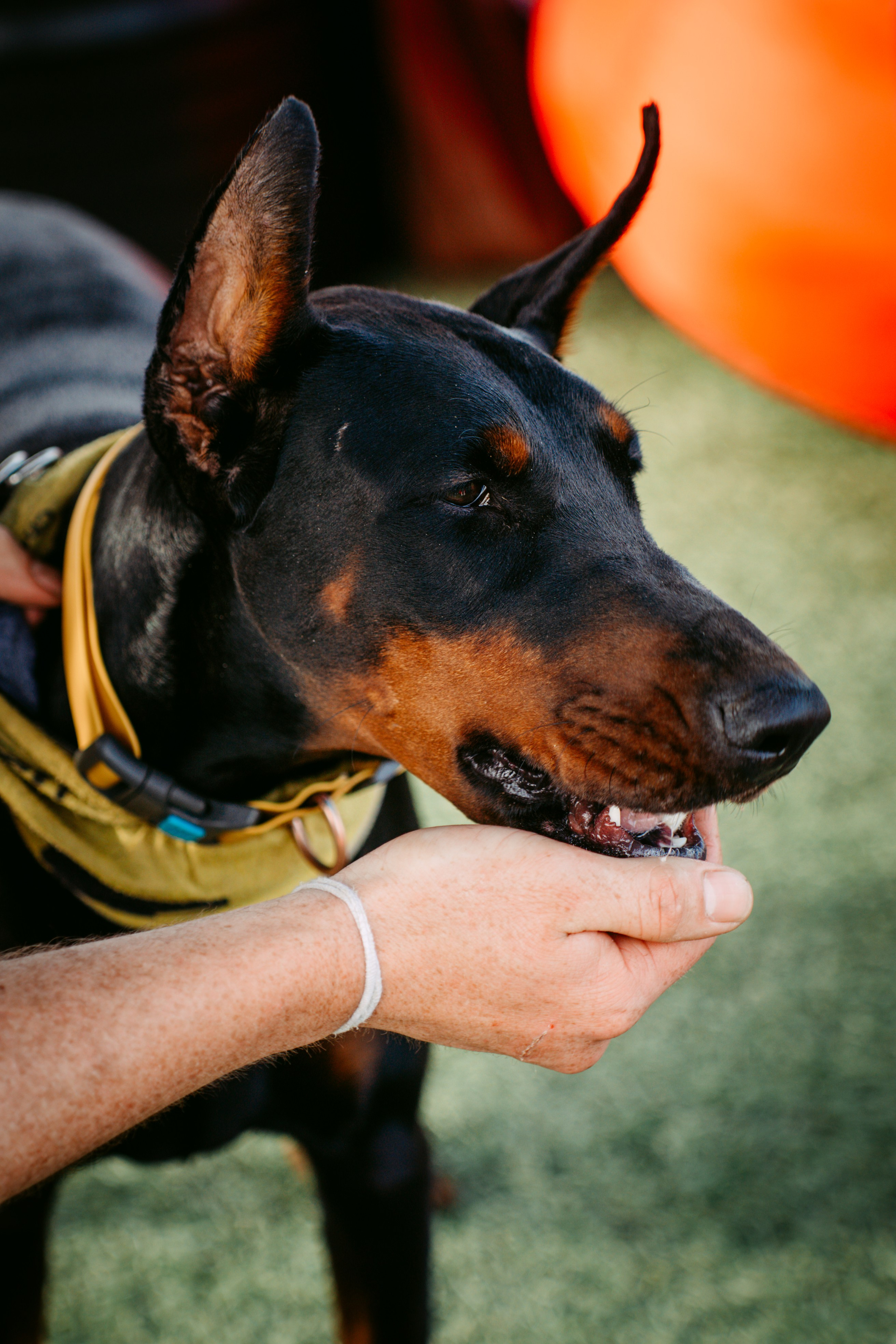 УРАМ|Детский фестиваль. Главная