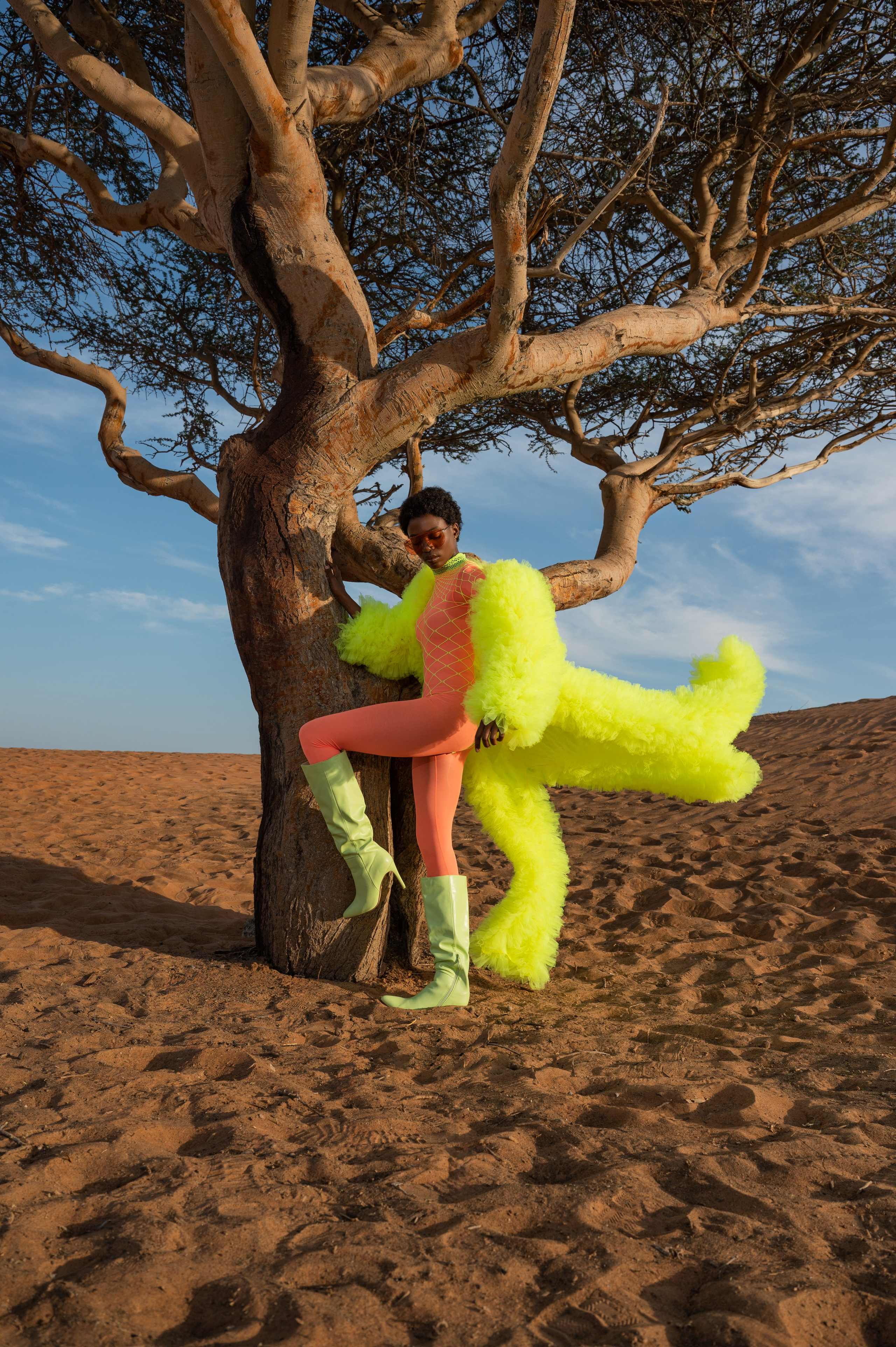 Fairy bird. Коммерческий фотограф Москва /Дубай, эксклюзивные фэшн фотосессии