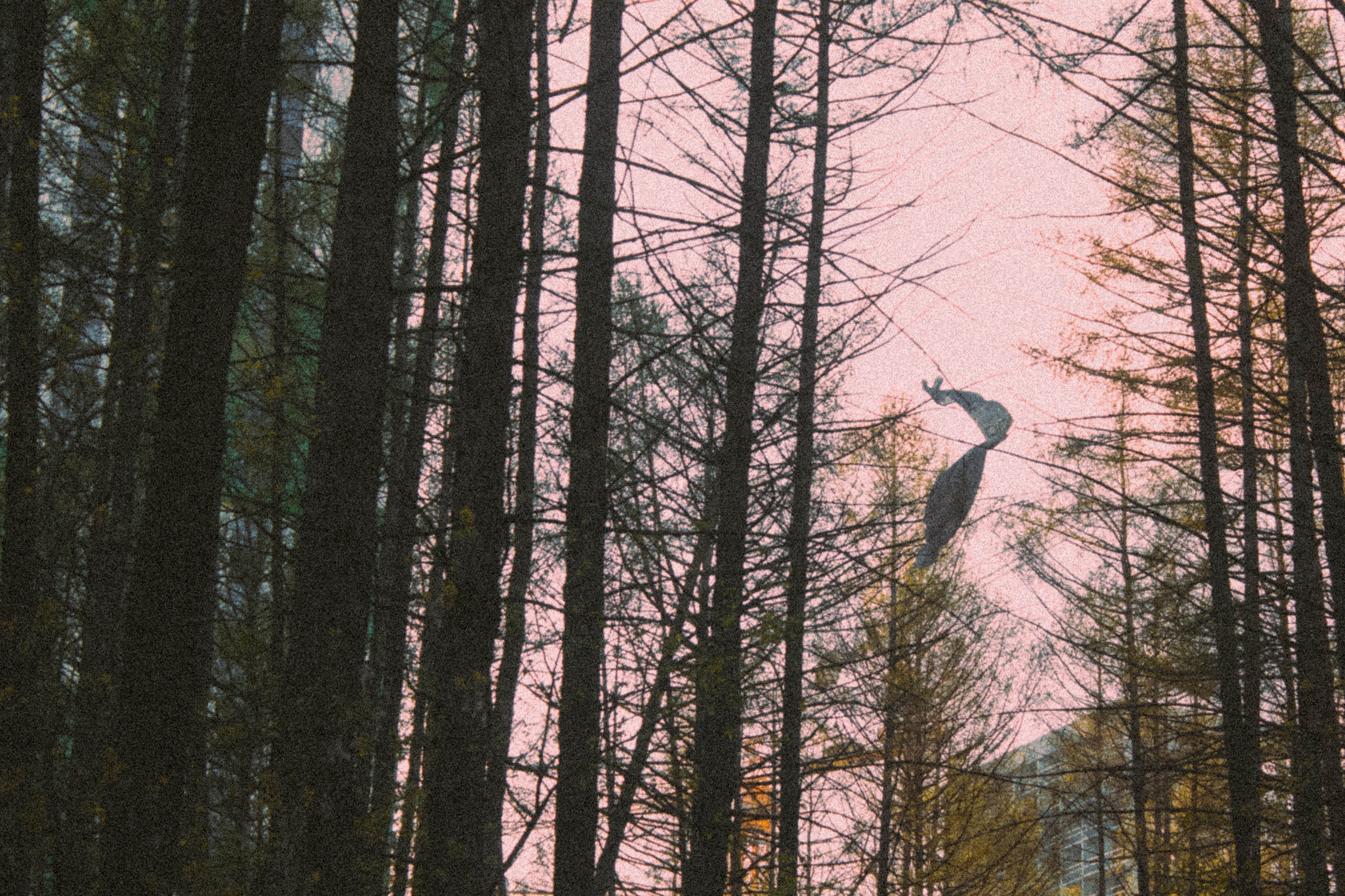 «Без названия»