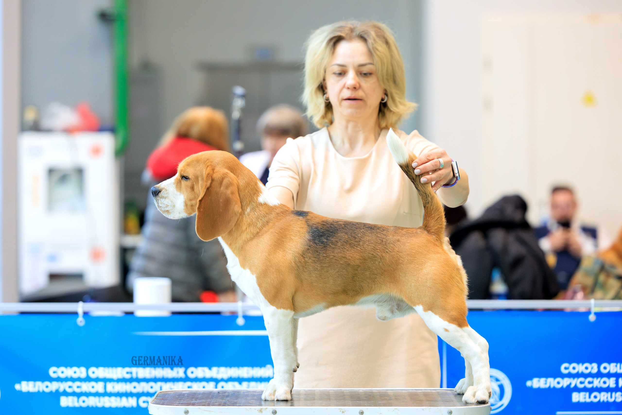 Минск 24-25.02.2024. Фотограф-анималист Юлия Германика