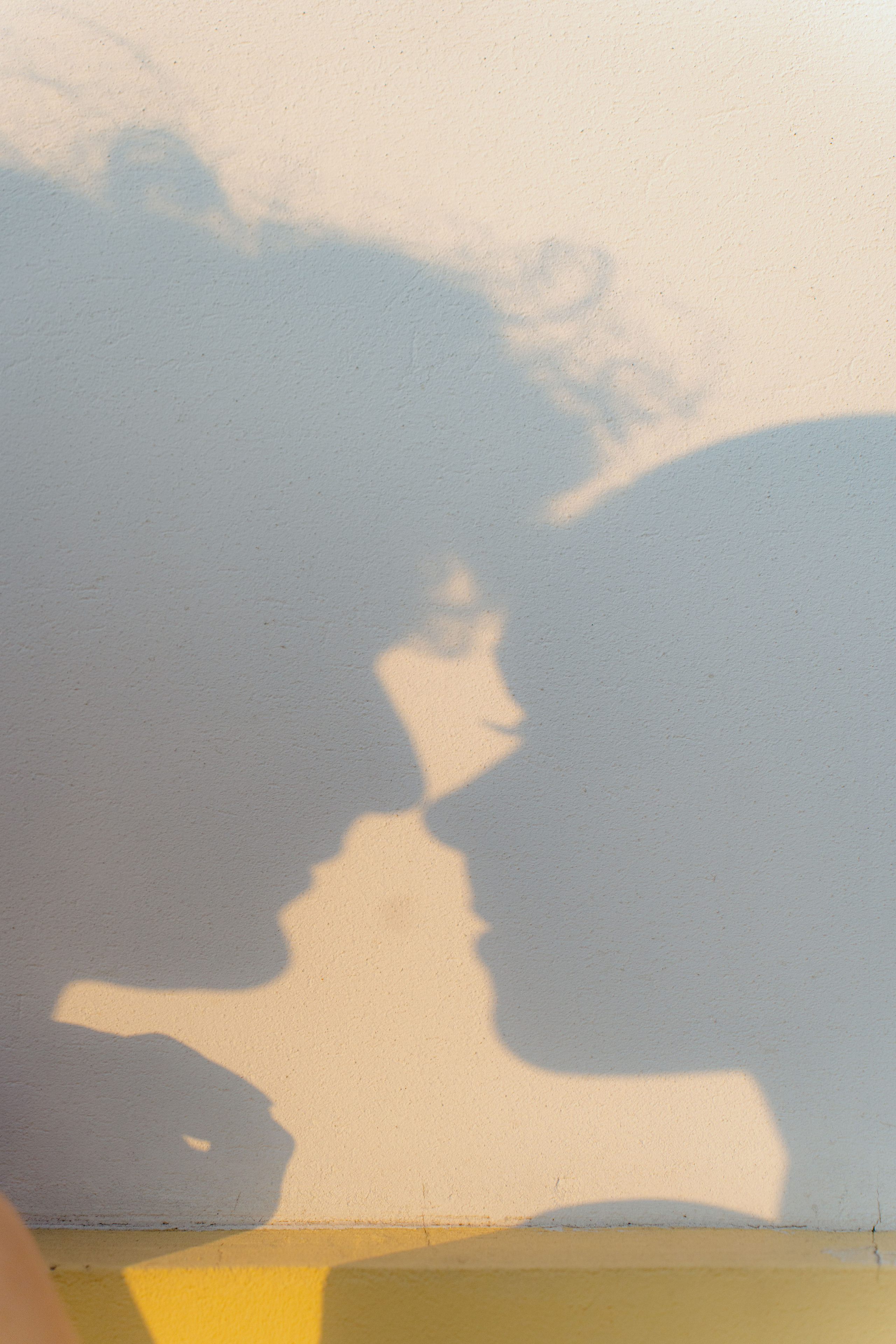 Полина и Илья. Свадебный фотограф Катерина Чулкова