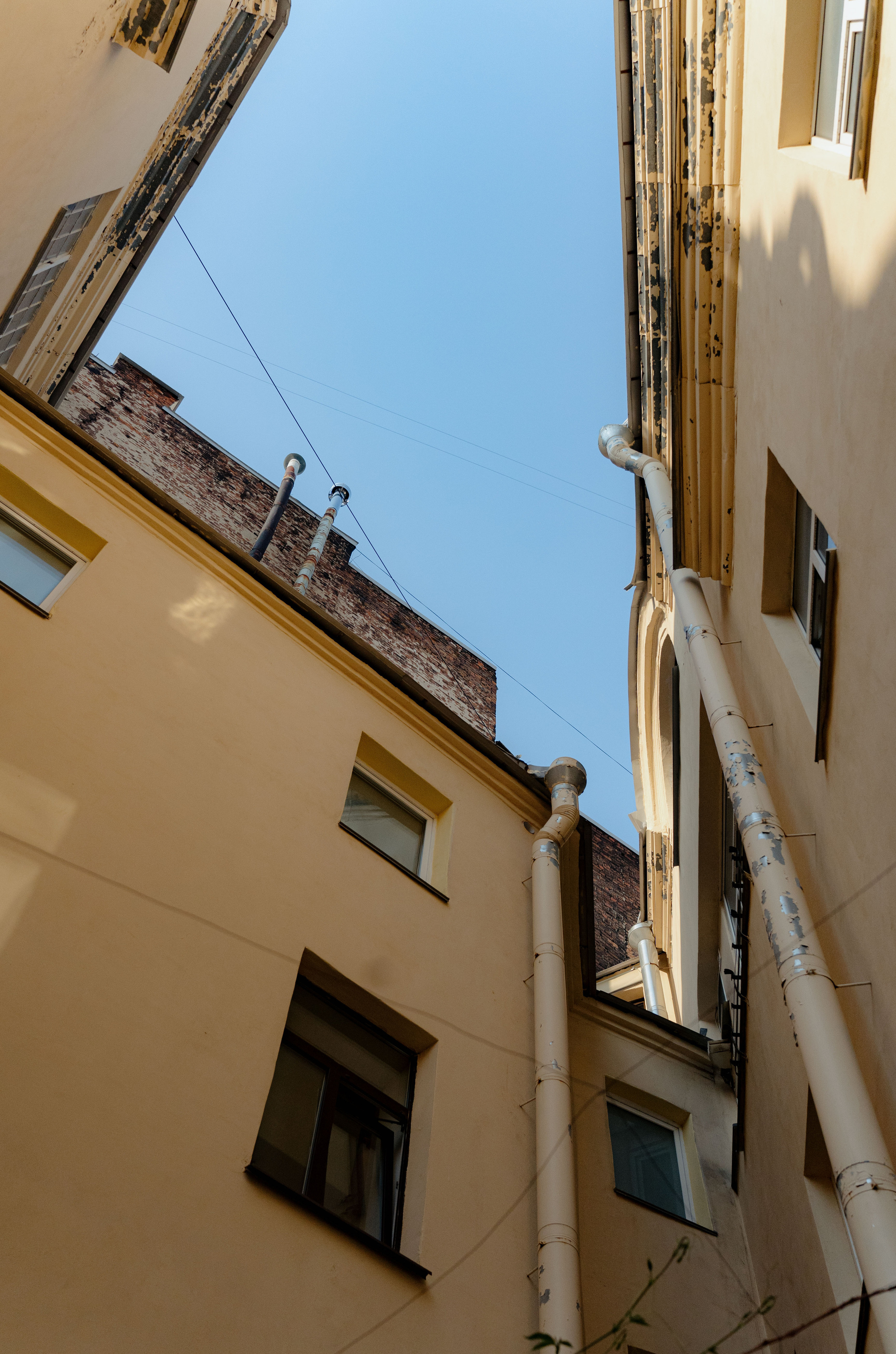 Полина и Илья. Свадебный фотограф Катерина Чулкова