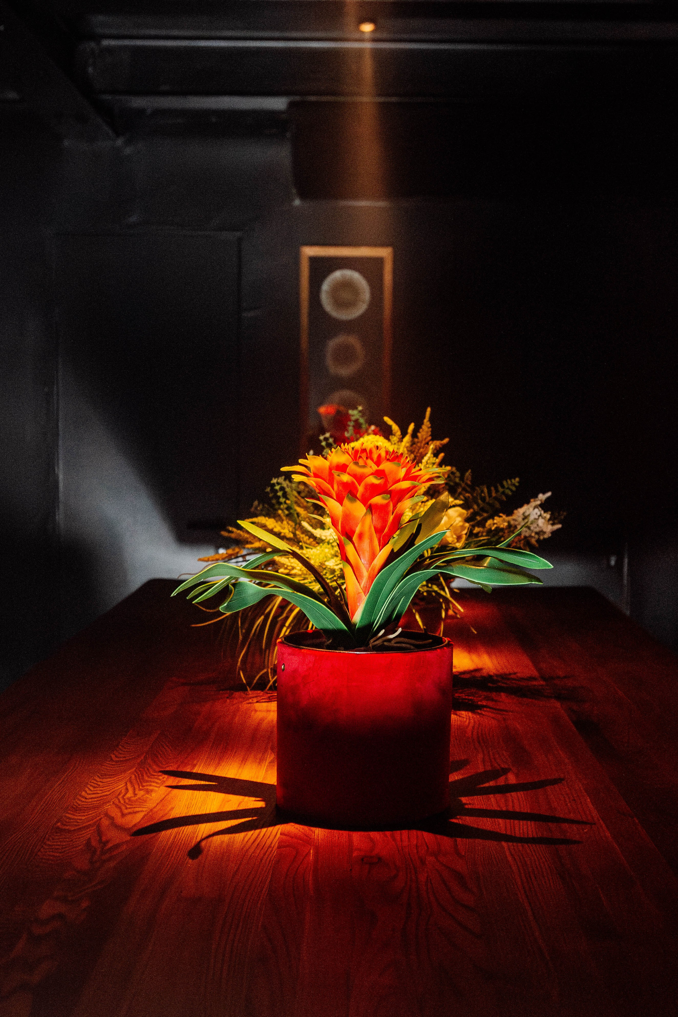 TREFF8. Репортажный фотограф Москва (детские праздники, квизы, концерты, дни рождения, свадьбы)