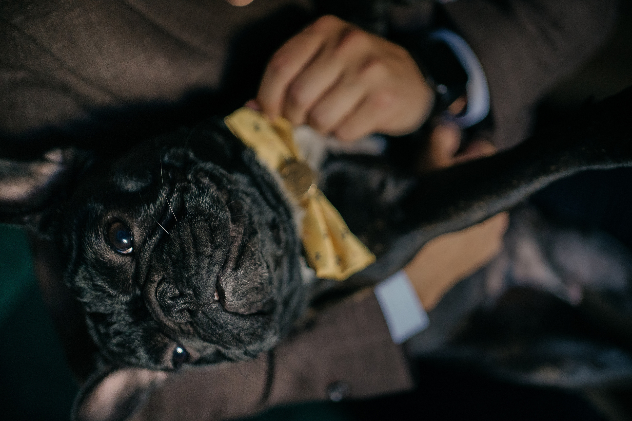 Н+Т. Андрей Сухинин репортажный свадебный фотограф Санкт-Петербург