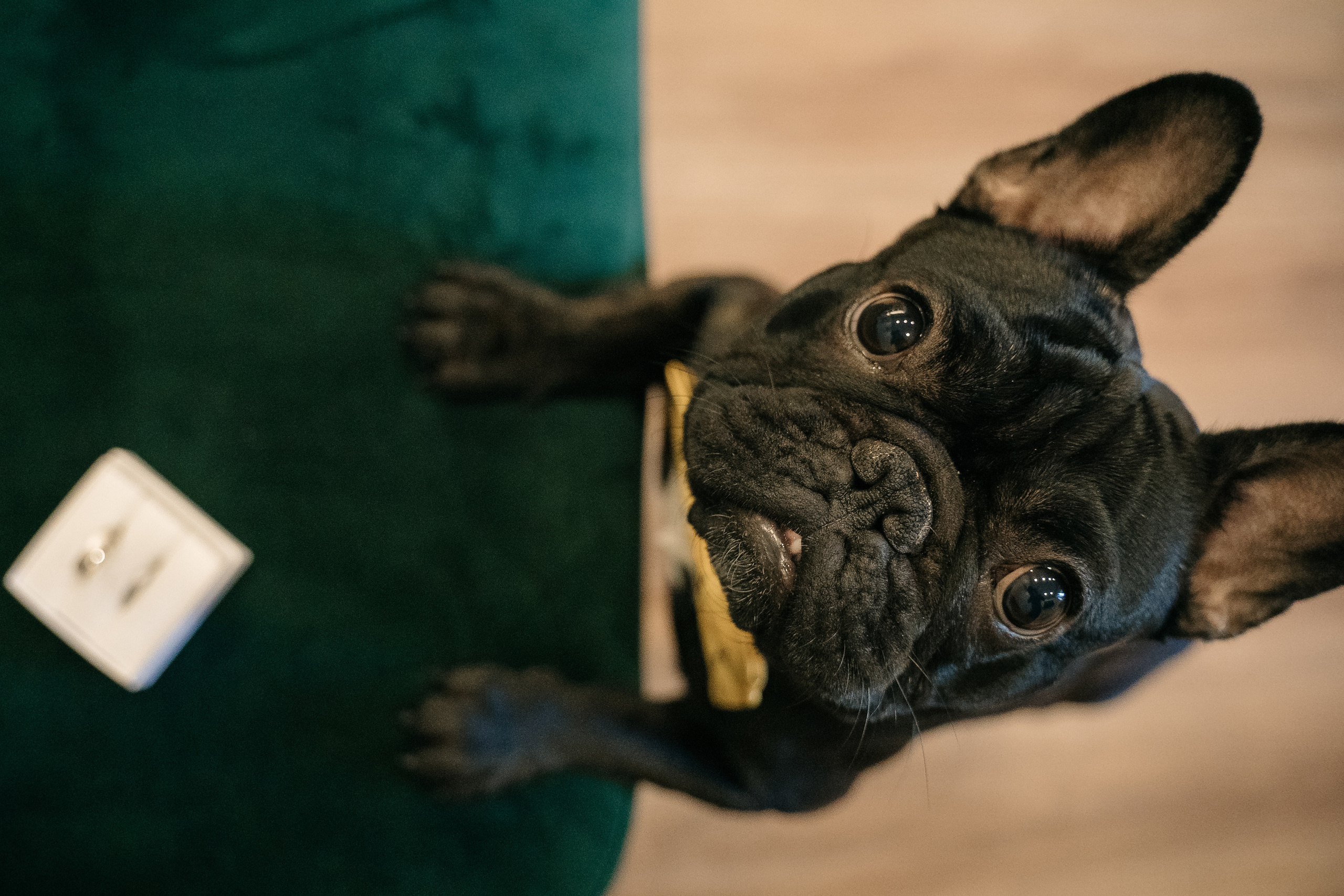 Н+Т. Андрей Сухинин репортажный свадебный фотограф Санкт-Петербург