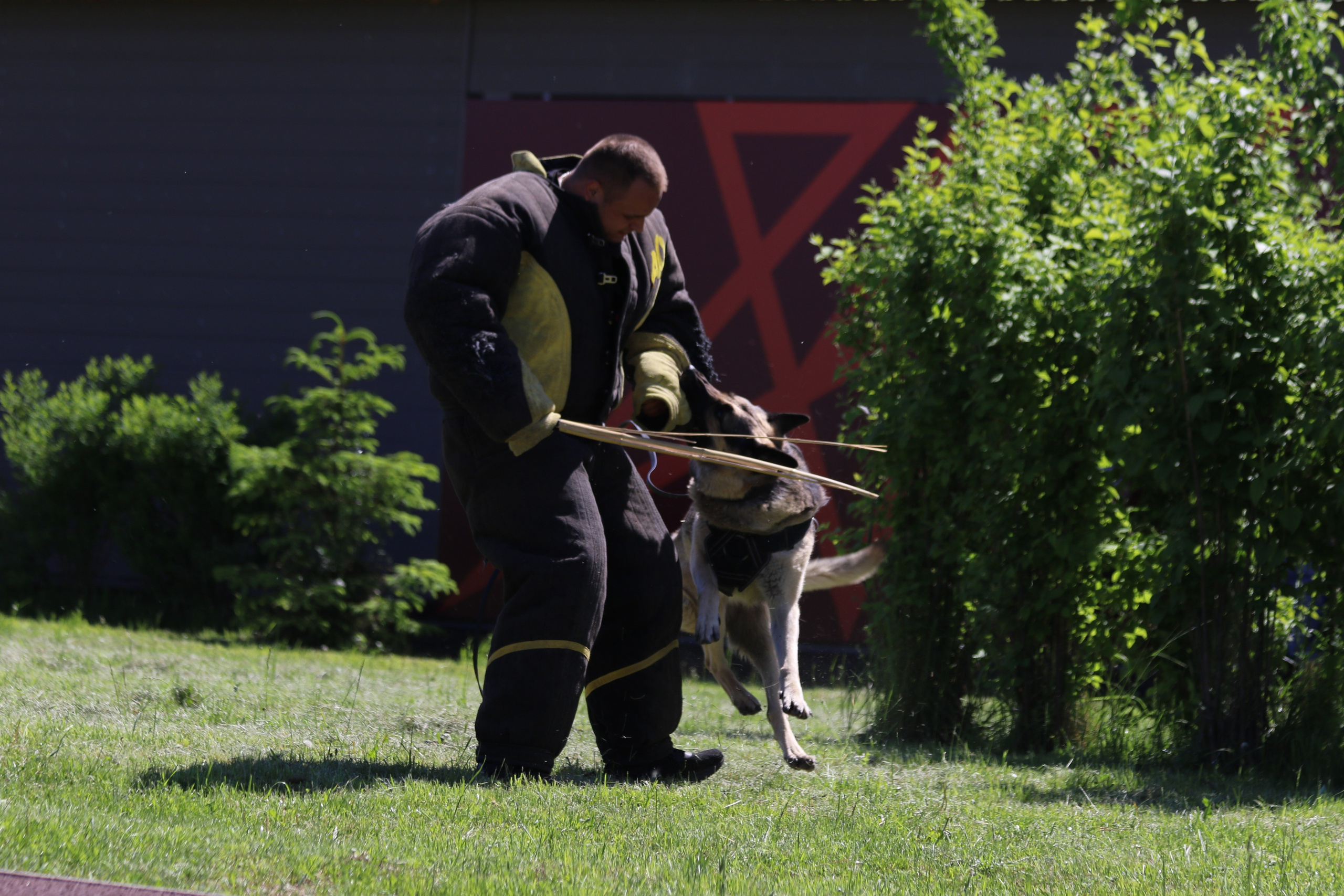 День Пограничника и День Пограничной кинологии. НРОО КЦ "Собаковод"