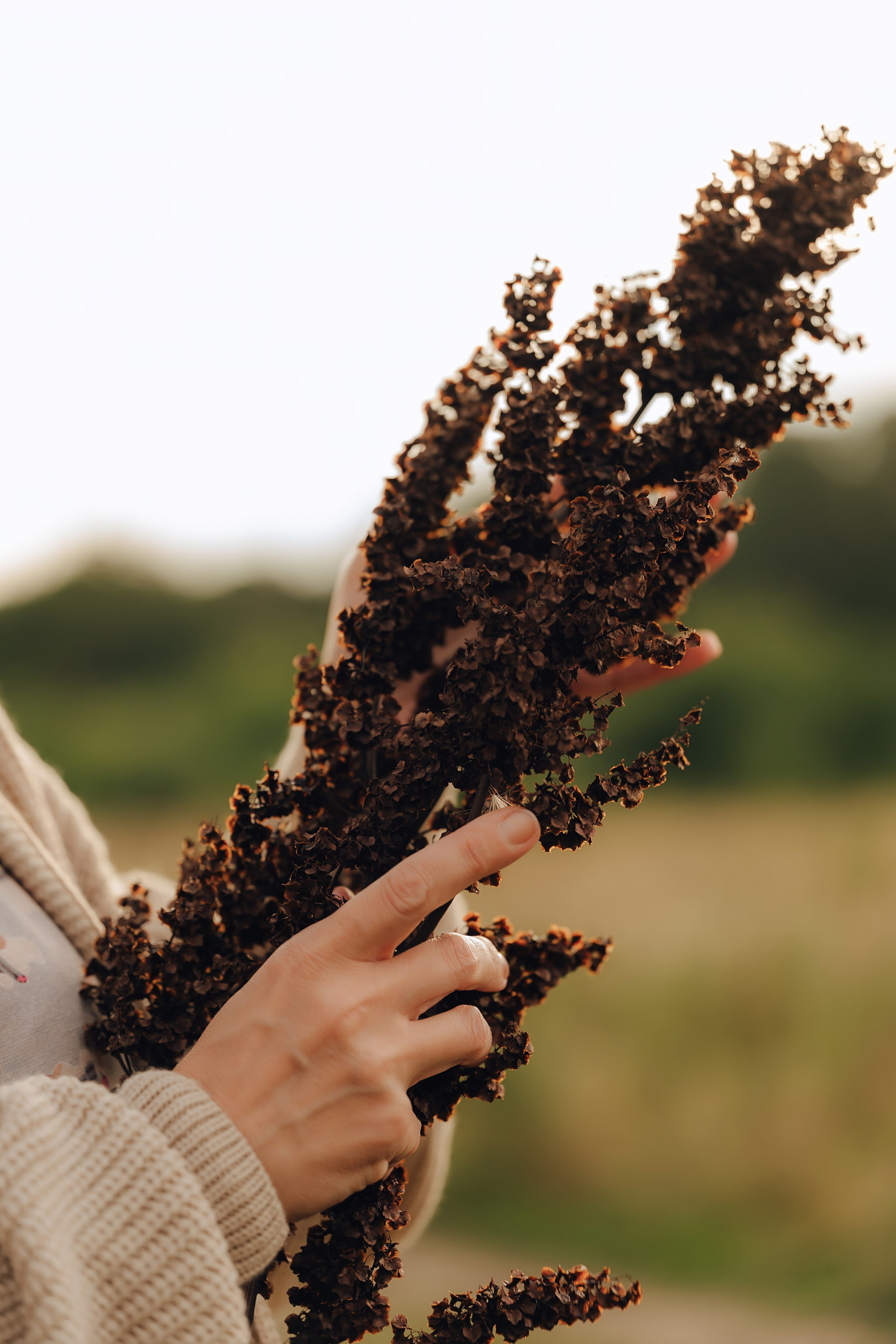 Красота этого лета. Детский и семейный фотограф Катерина Мишина