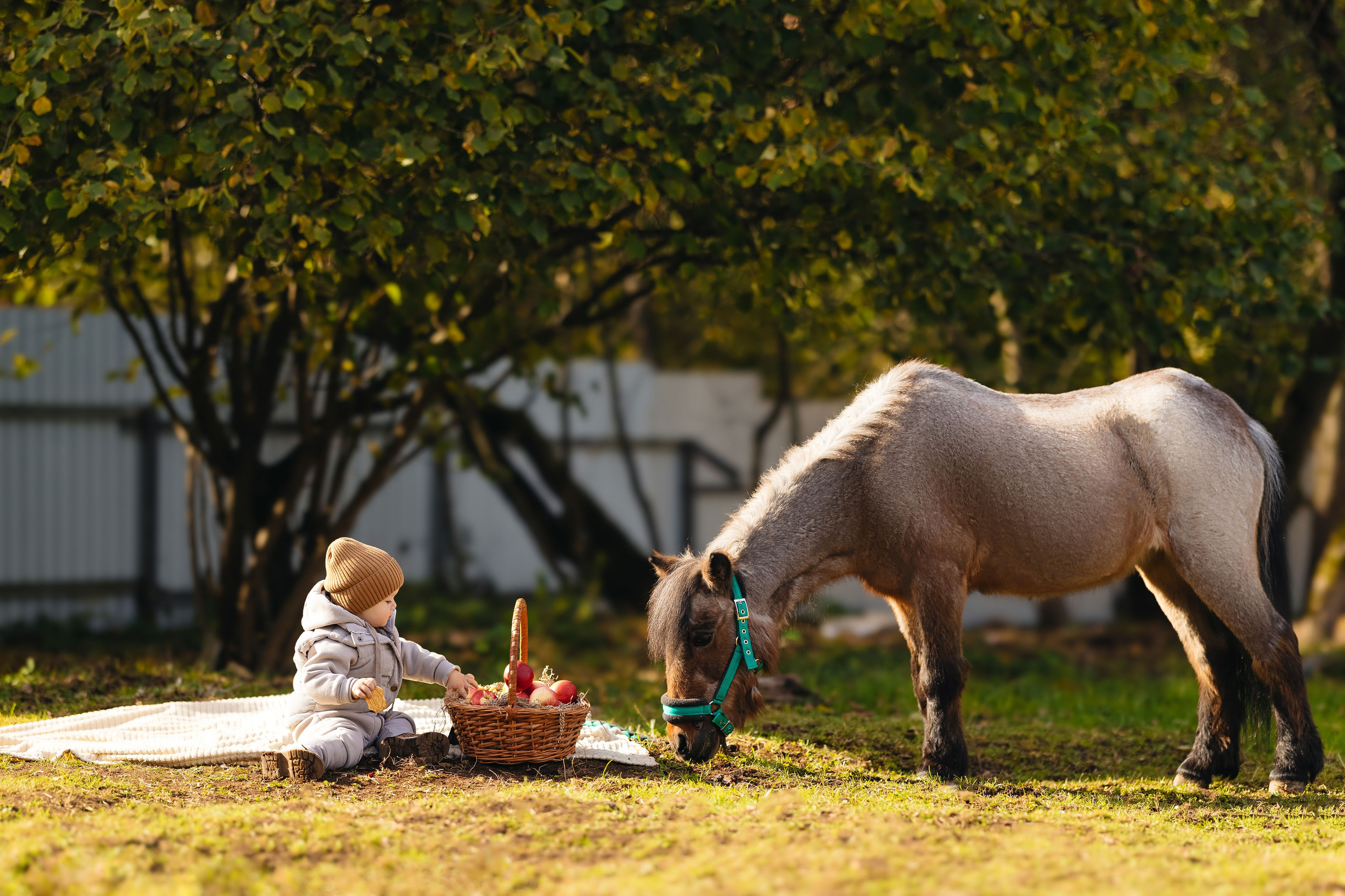 2024.10.02 Илья и лошадка. Ирина Бешляга. Фотограф в Москве и по всей России