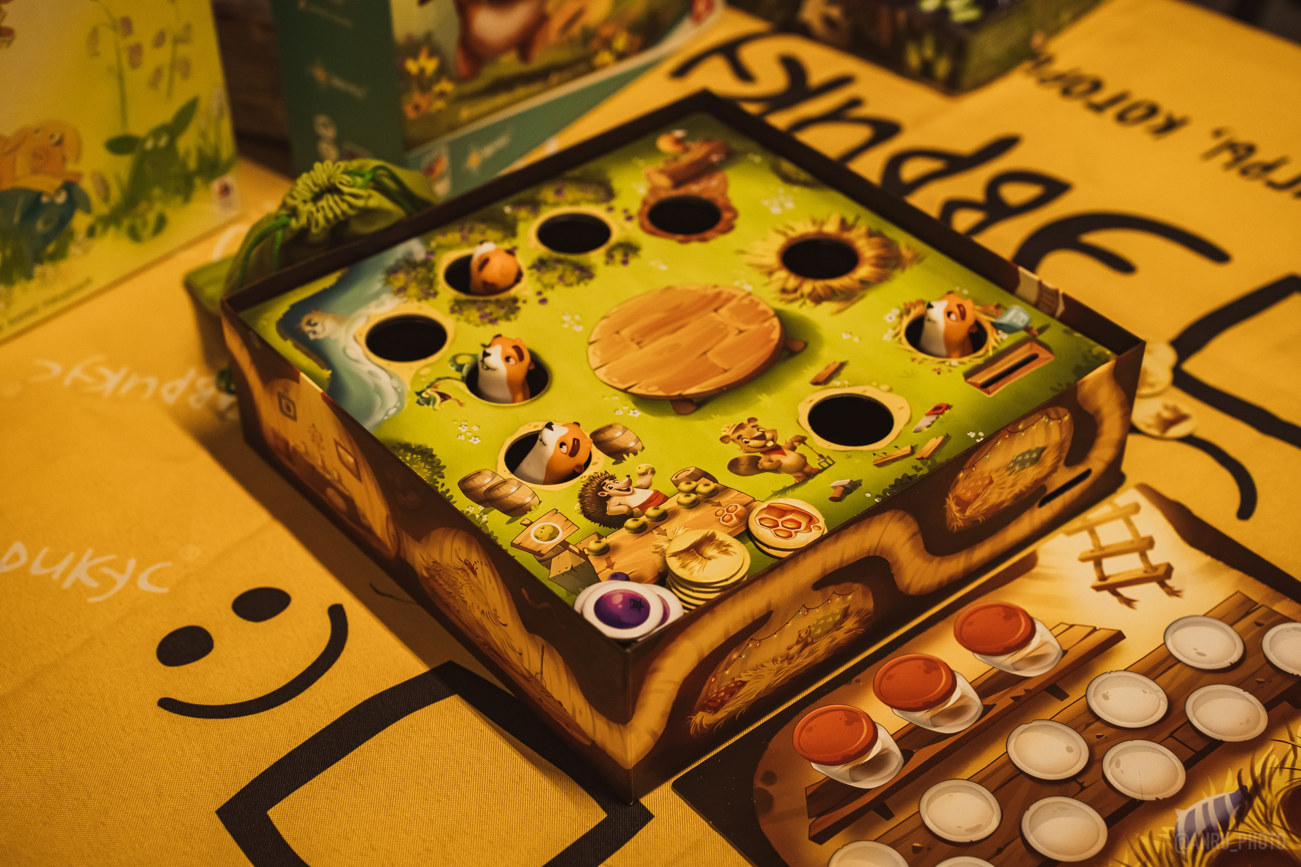 Fox Family fest. Репортажный фотограф Анастасия Рубцова