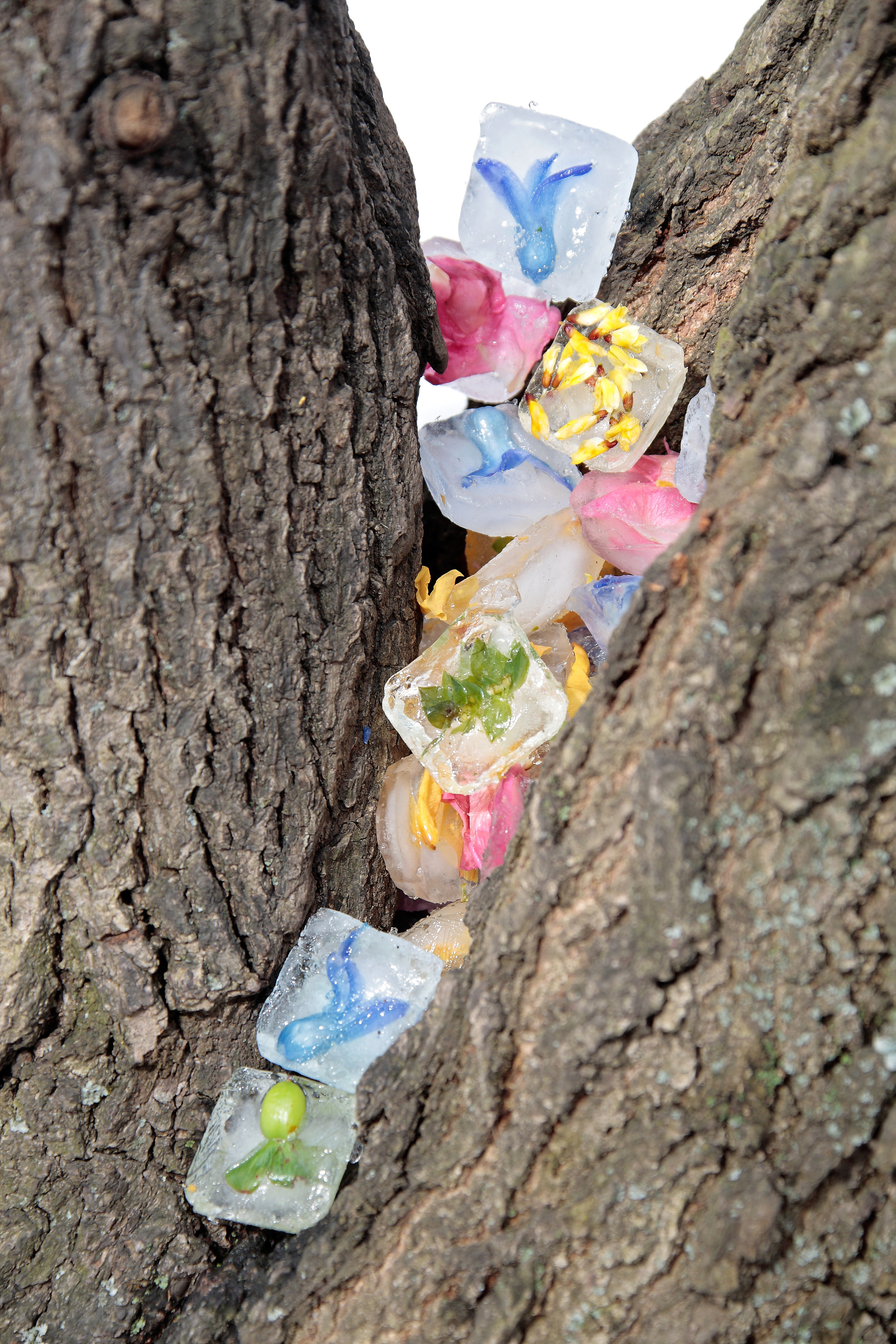 Флорист: Маргарита Чичагова.